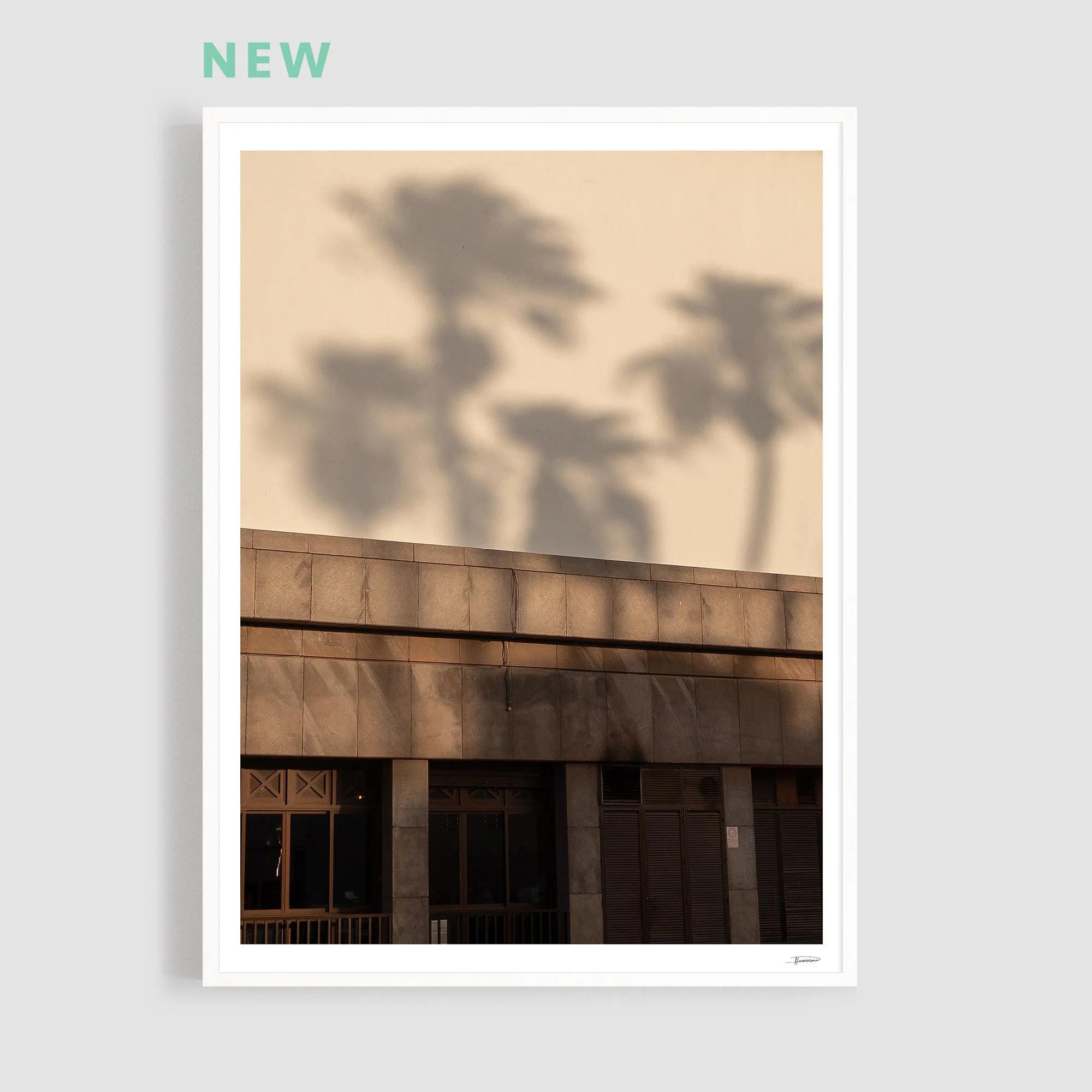 Palmeras - limited and signed print