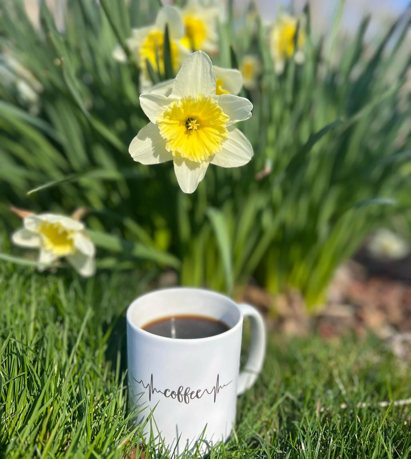 Happy Easter!