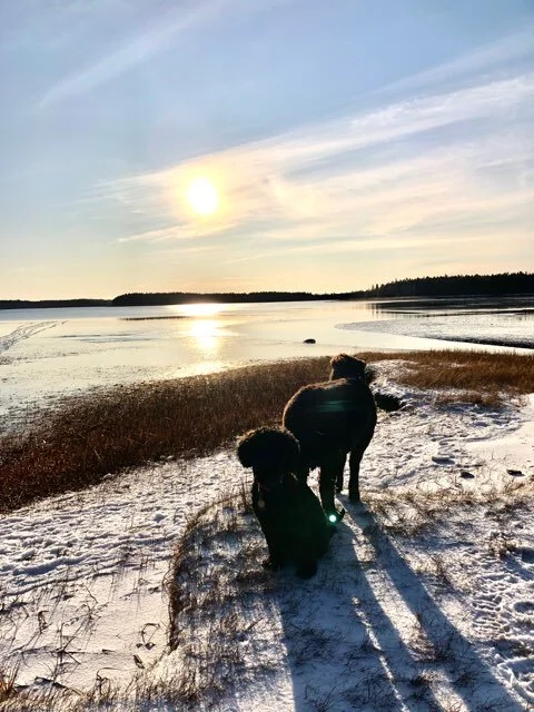 Thank You For Walking with Me