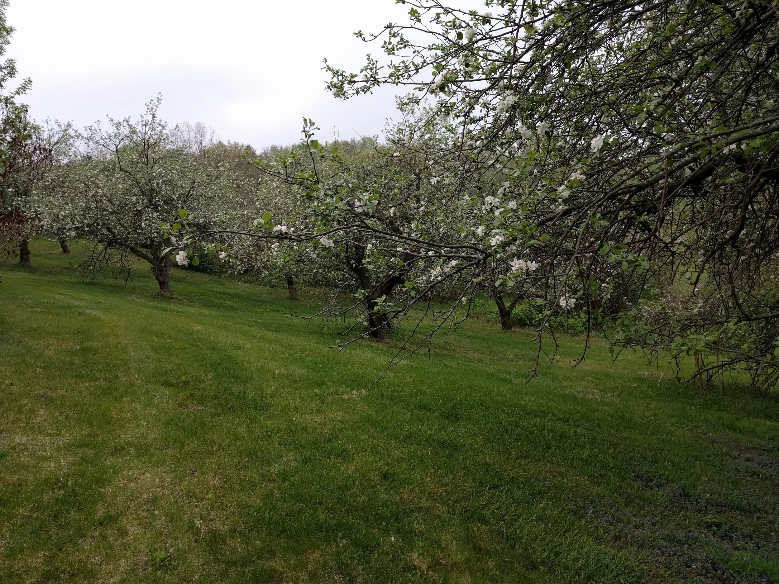 IMG_20160429_160525.jpg