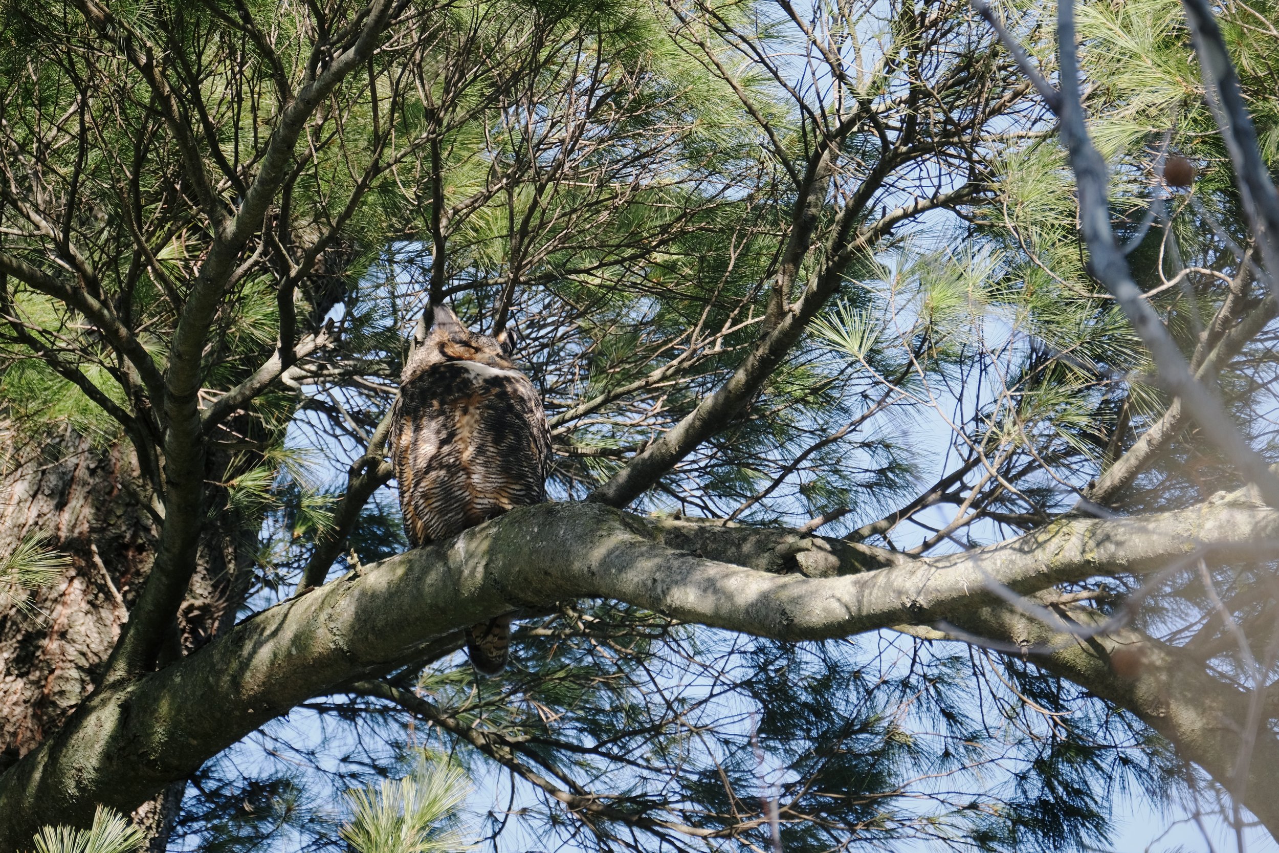 Foto Fridays (December 2025)