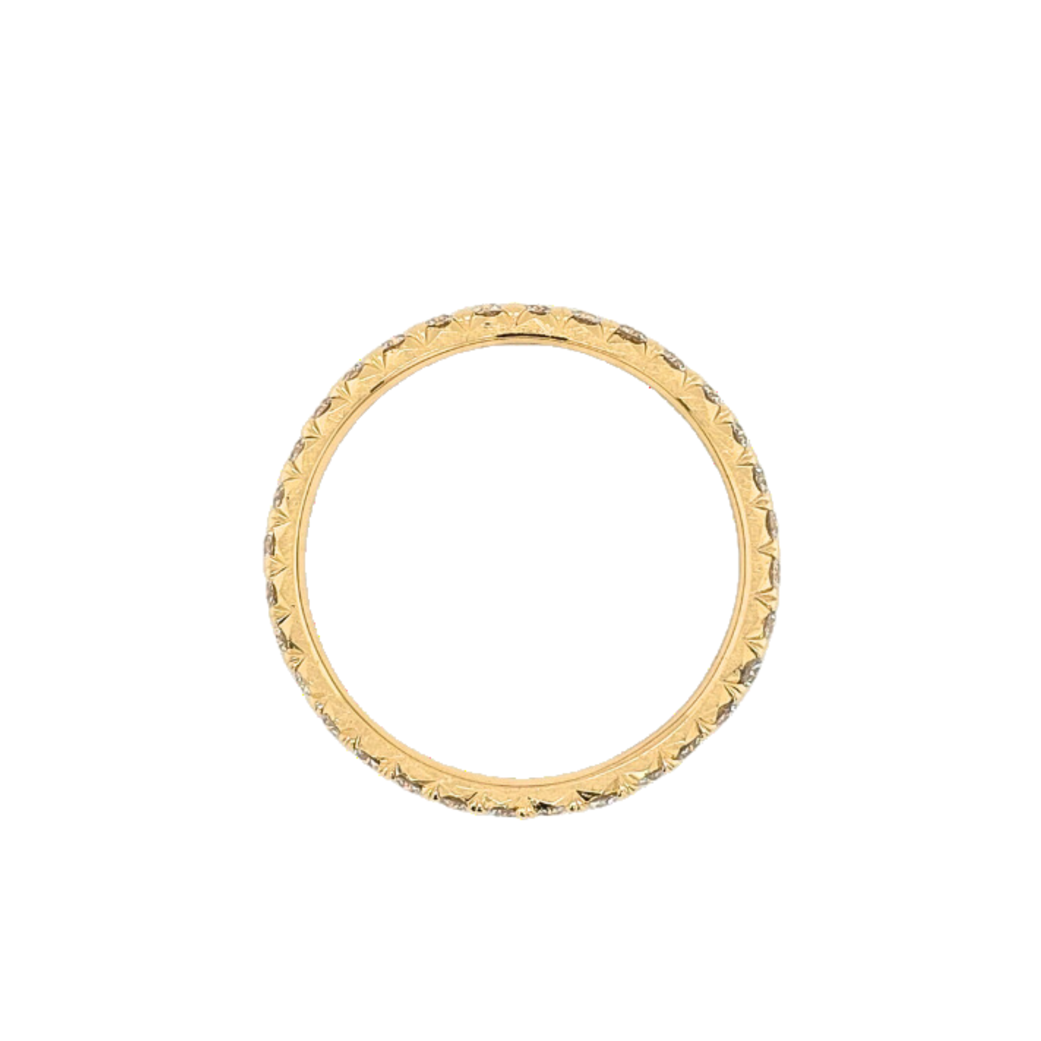 Untitled design (13).png
