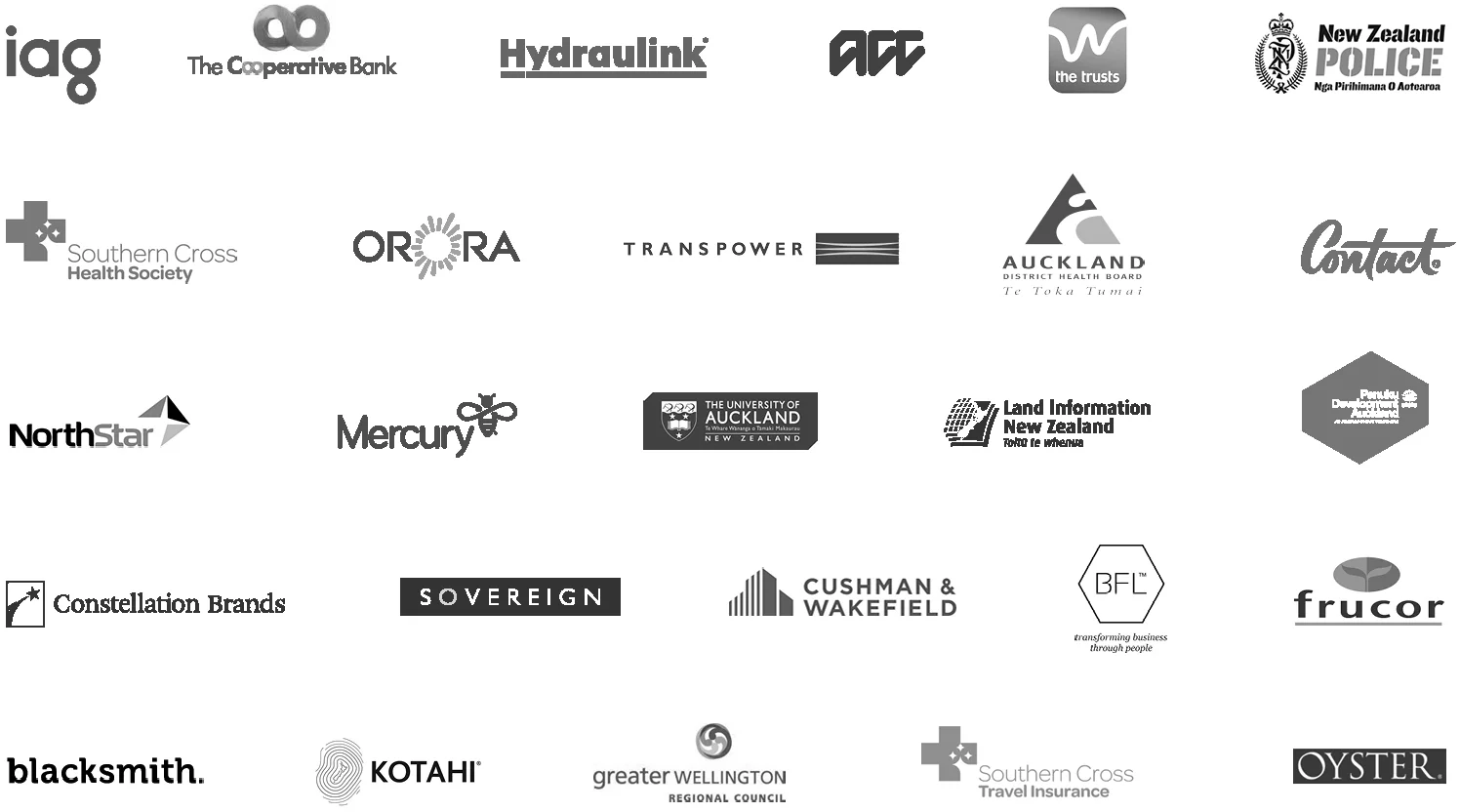 Geyser client logos.jpg