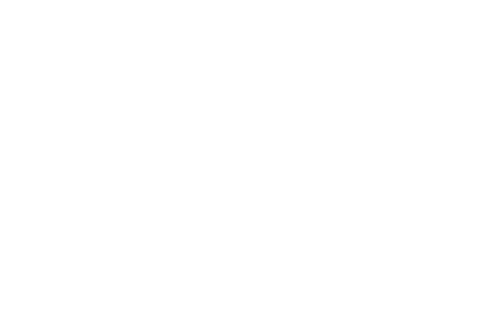 OFFICIAL SELECTION - Austin Spotlight Film Festival - 2018 (1).png