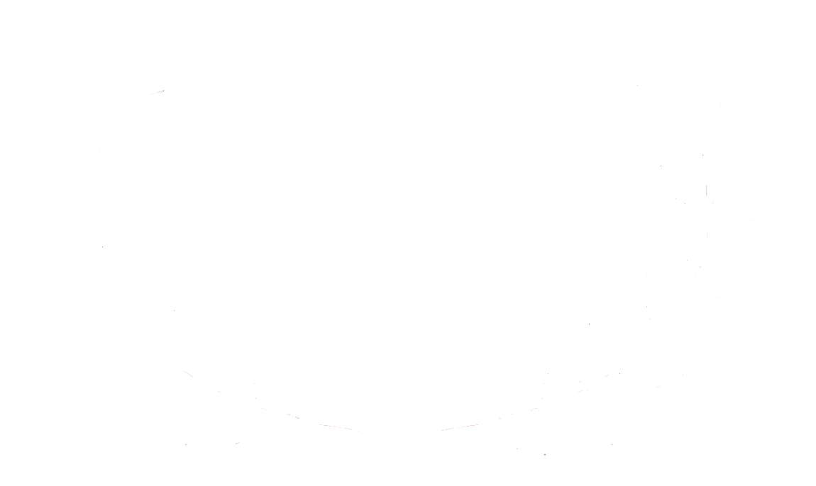 White Hollywood New Directors Honorable Mention 2018 copy.png