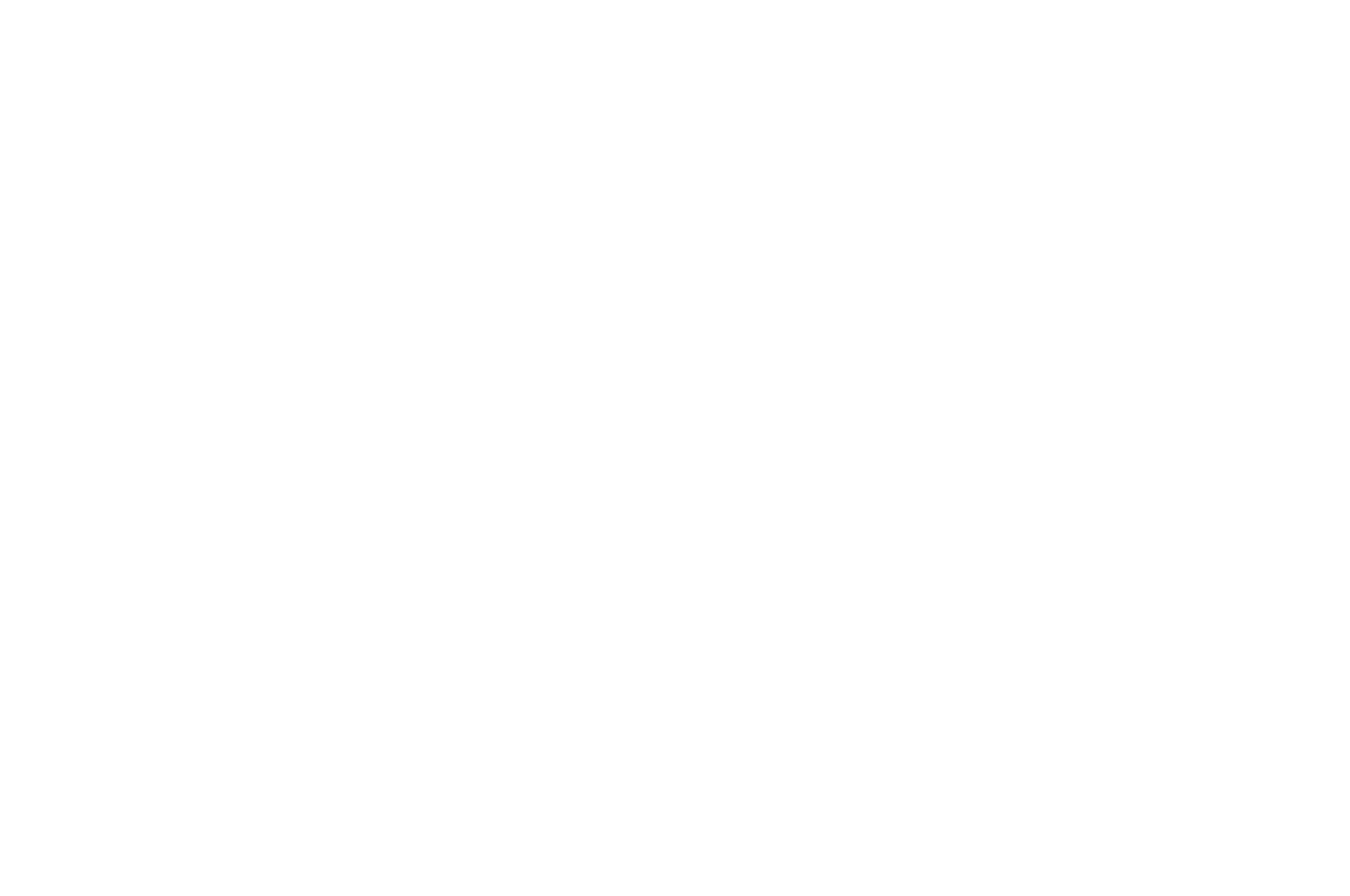 FINALIST - AUCKLAND INTERNATIONAL FILM FESTIVAL - 2018 (1).png