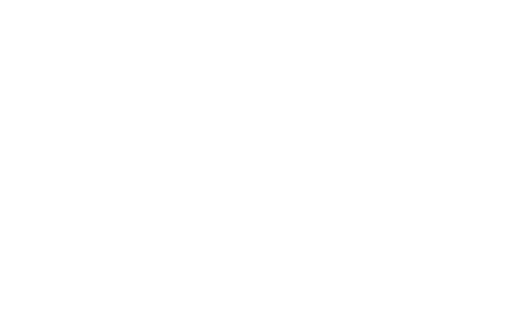 BEST WOMENS FILM - Cult Critic Movie Awards - 2018 (1).png