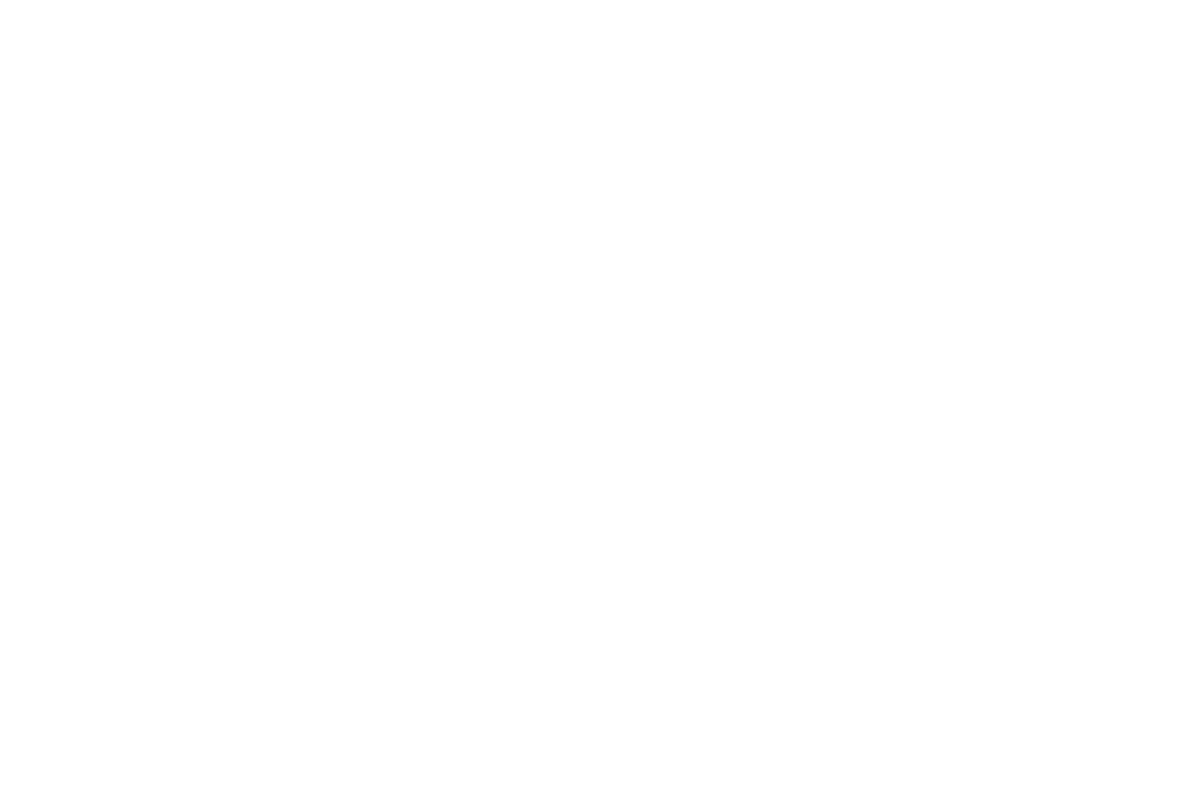 OFFICIAL SELECTION - Mindfield Film Festival  Los Angeles - 2019-2.png