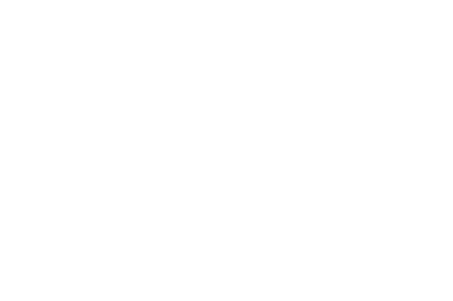 HONORABLE MENTION - Idyllwild International Festival of Cinema - USA copy.png