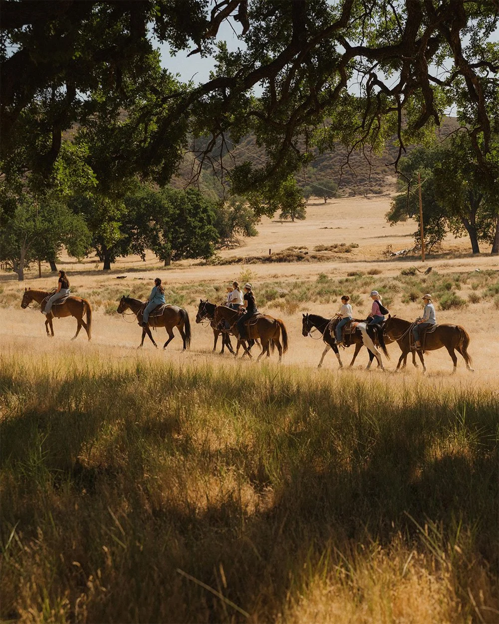 DreamBigDarling-59 - R2.jpeg