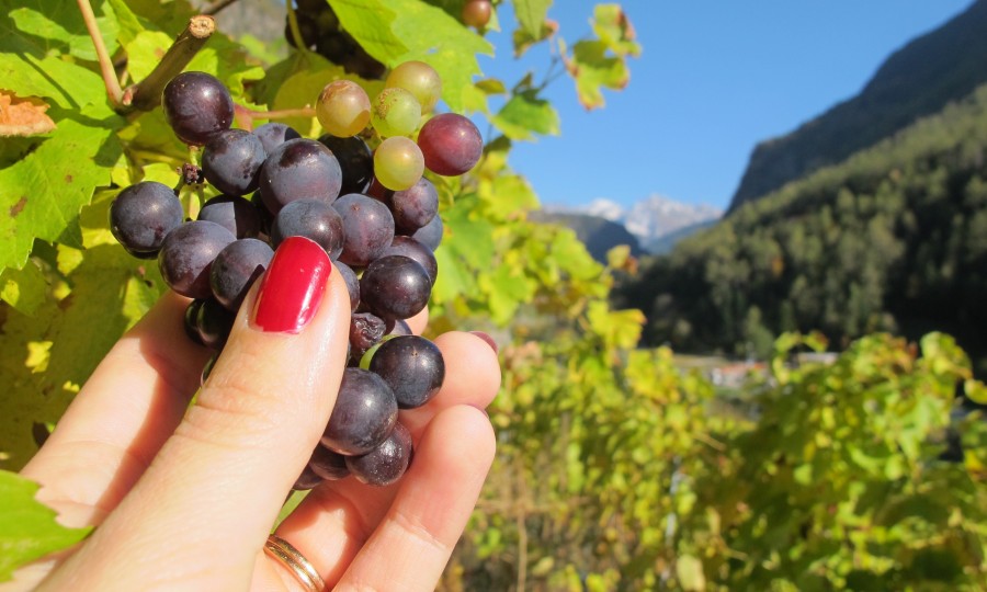 Hejdå Sverige och hej Schweiz