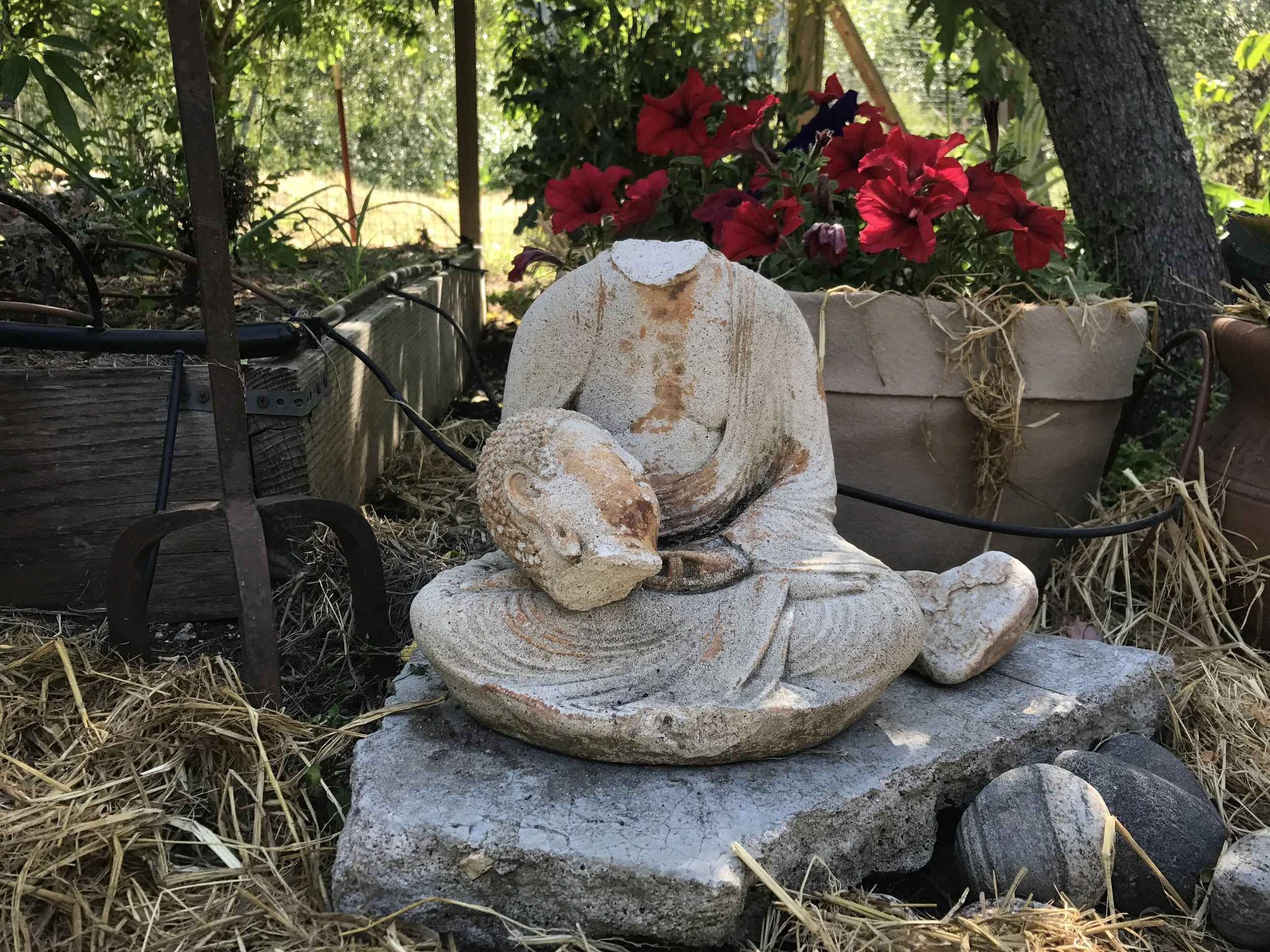 GARDEN BUDDHA
