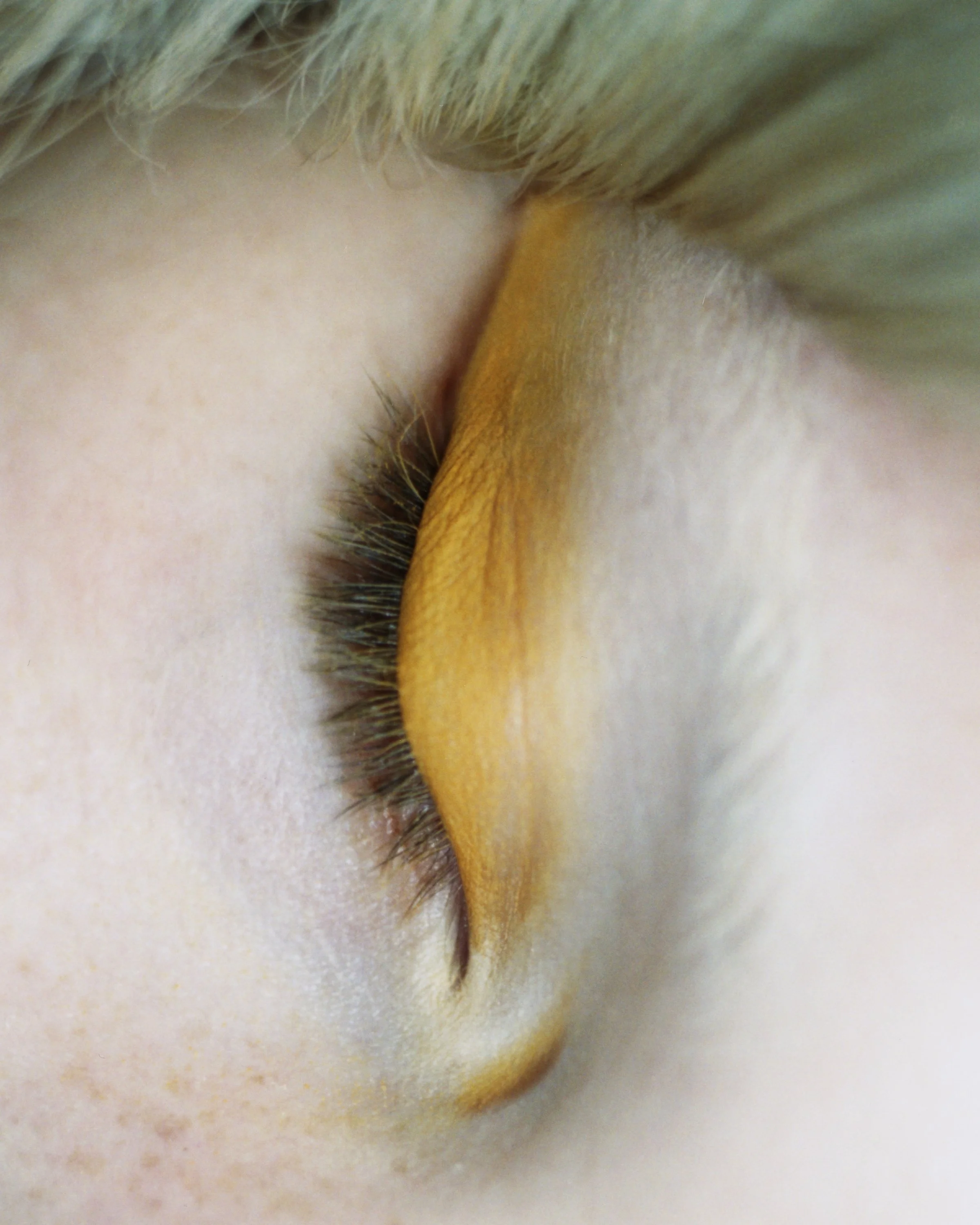 241025_BEAUTY_TEST_07.jpg