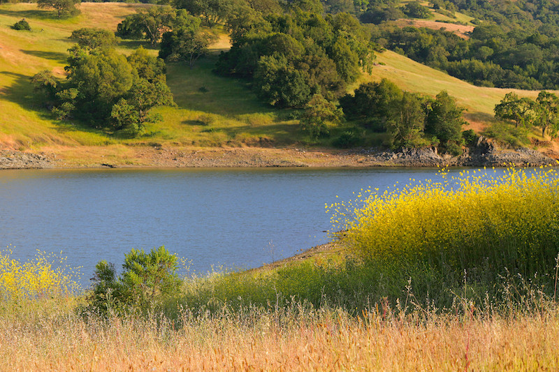 ALMADEN VALLEY