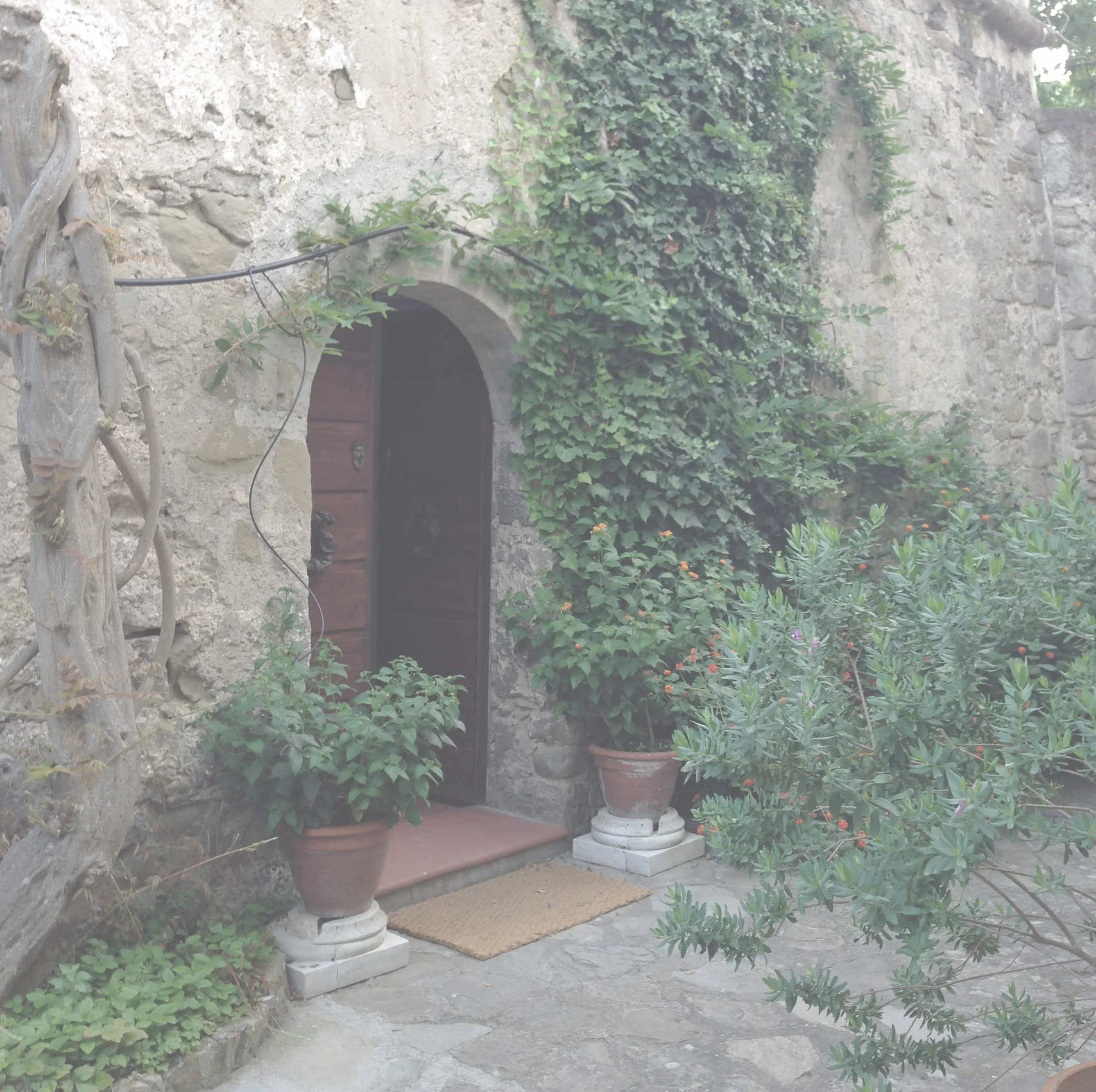 italy_2016_villa_door_faded.jpg