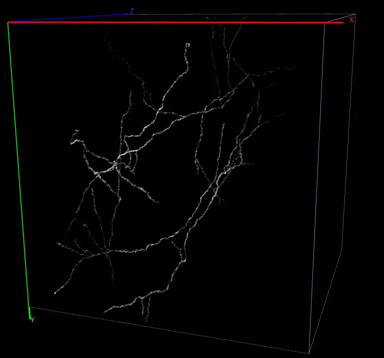mouse-cortex-live_axons3D.jpg