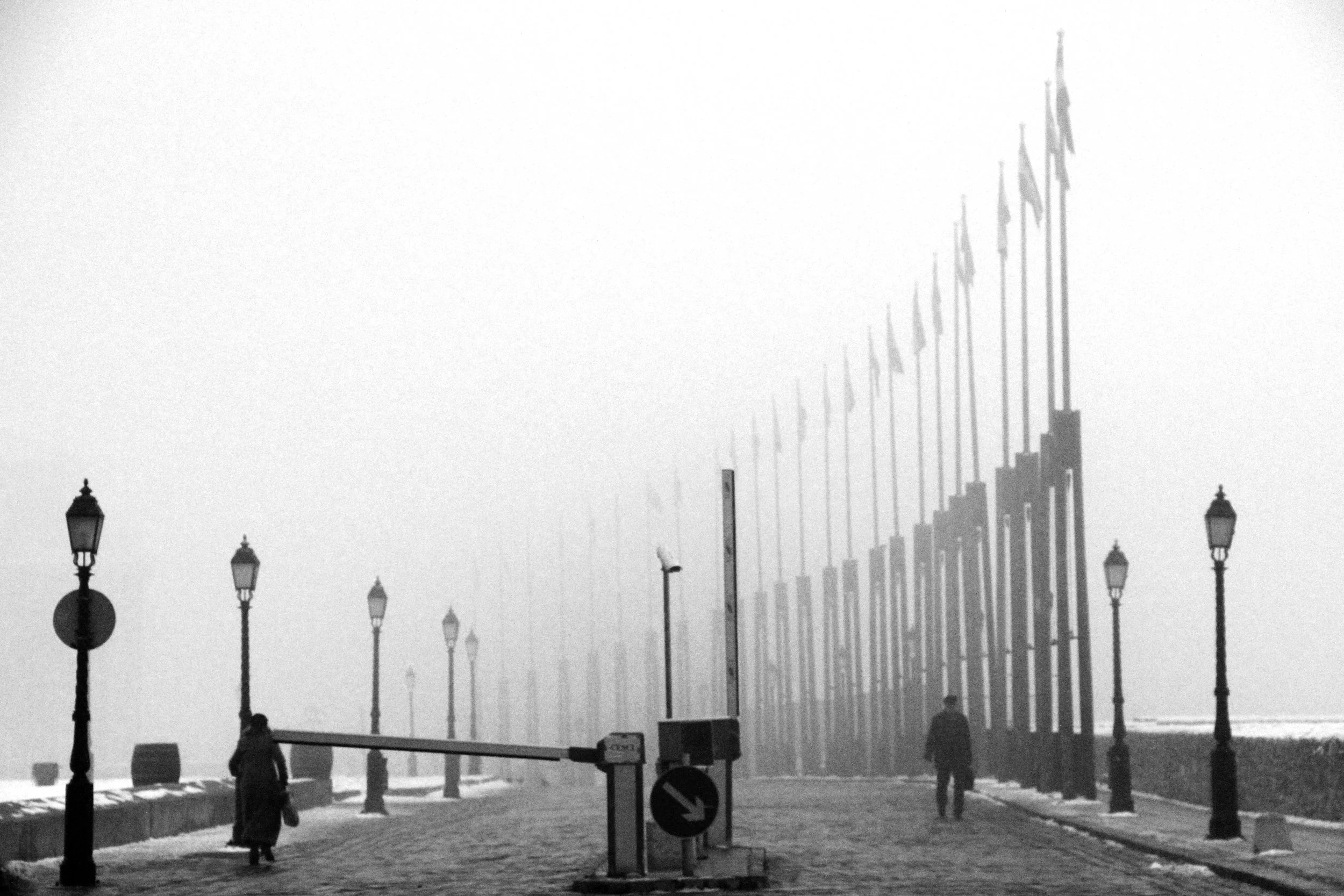 whiteout1.jpg