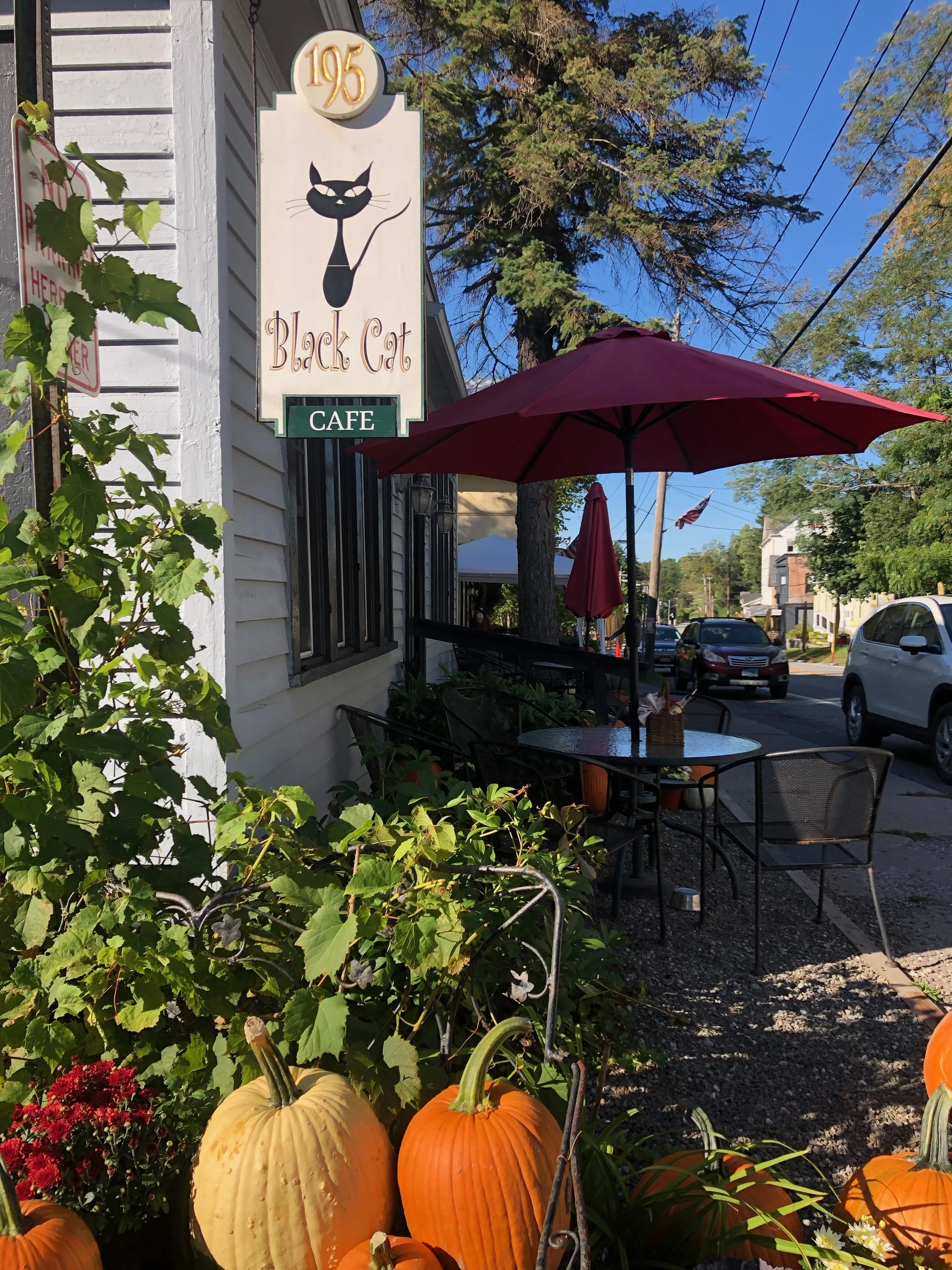 Black Cat Café Sharon Springs, NY