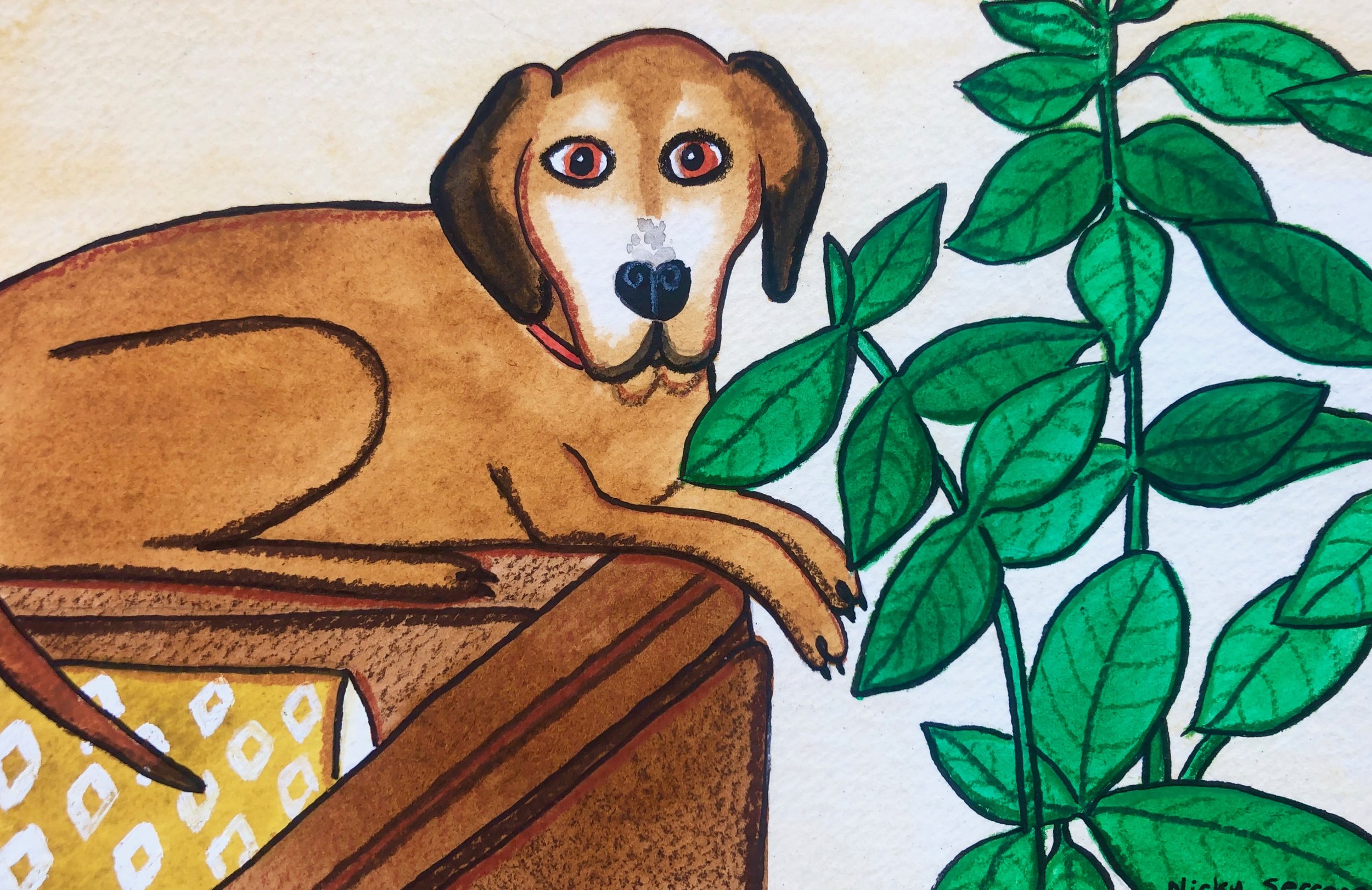 pawtrait_dog.jpeg