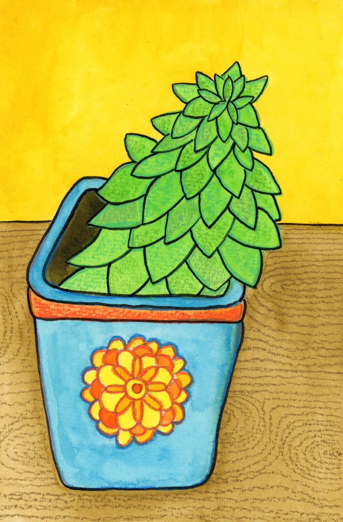 wonky_plant2_lr.jpg