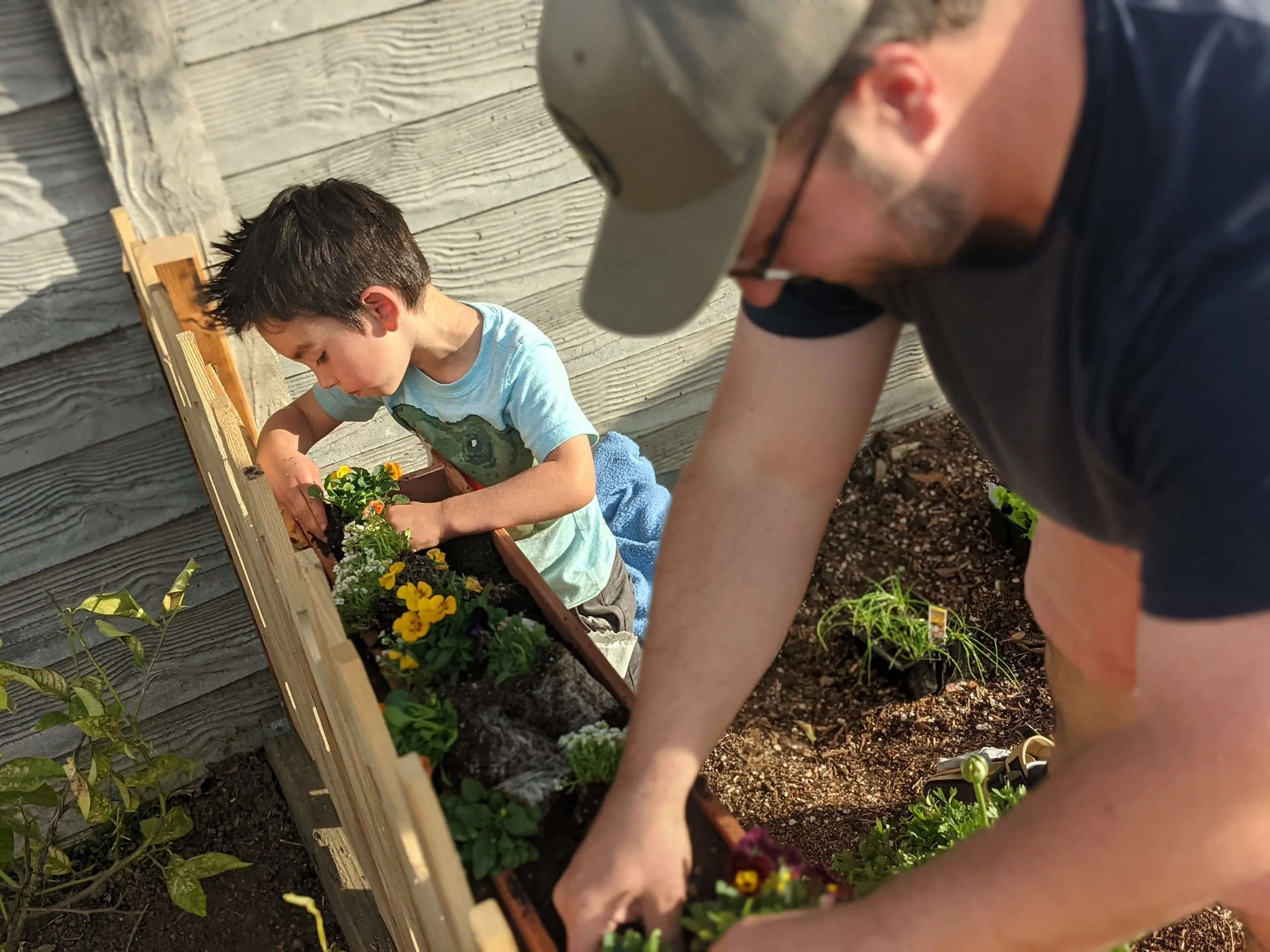 Garden Beginnings