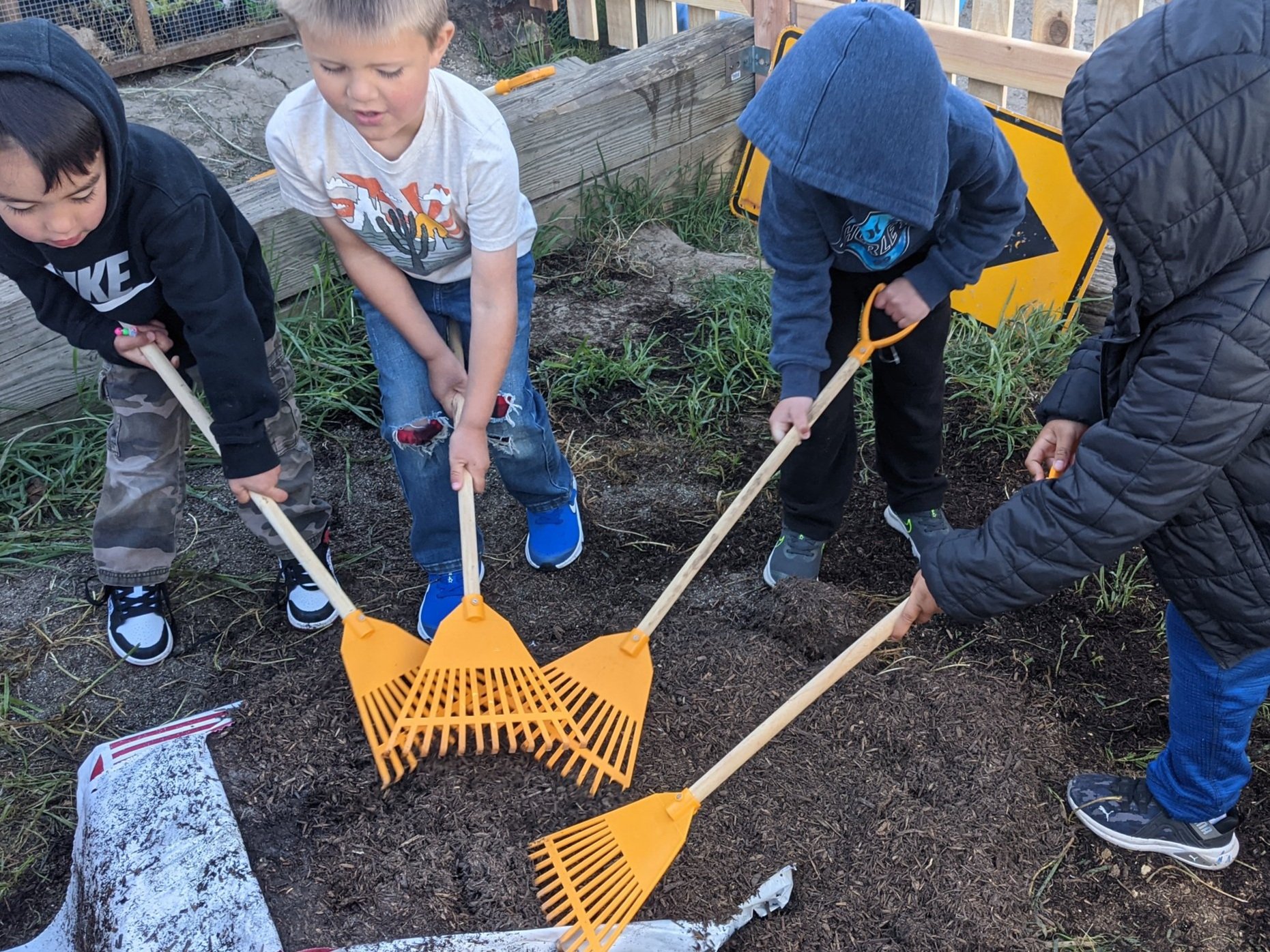 The Dig Pit