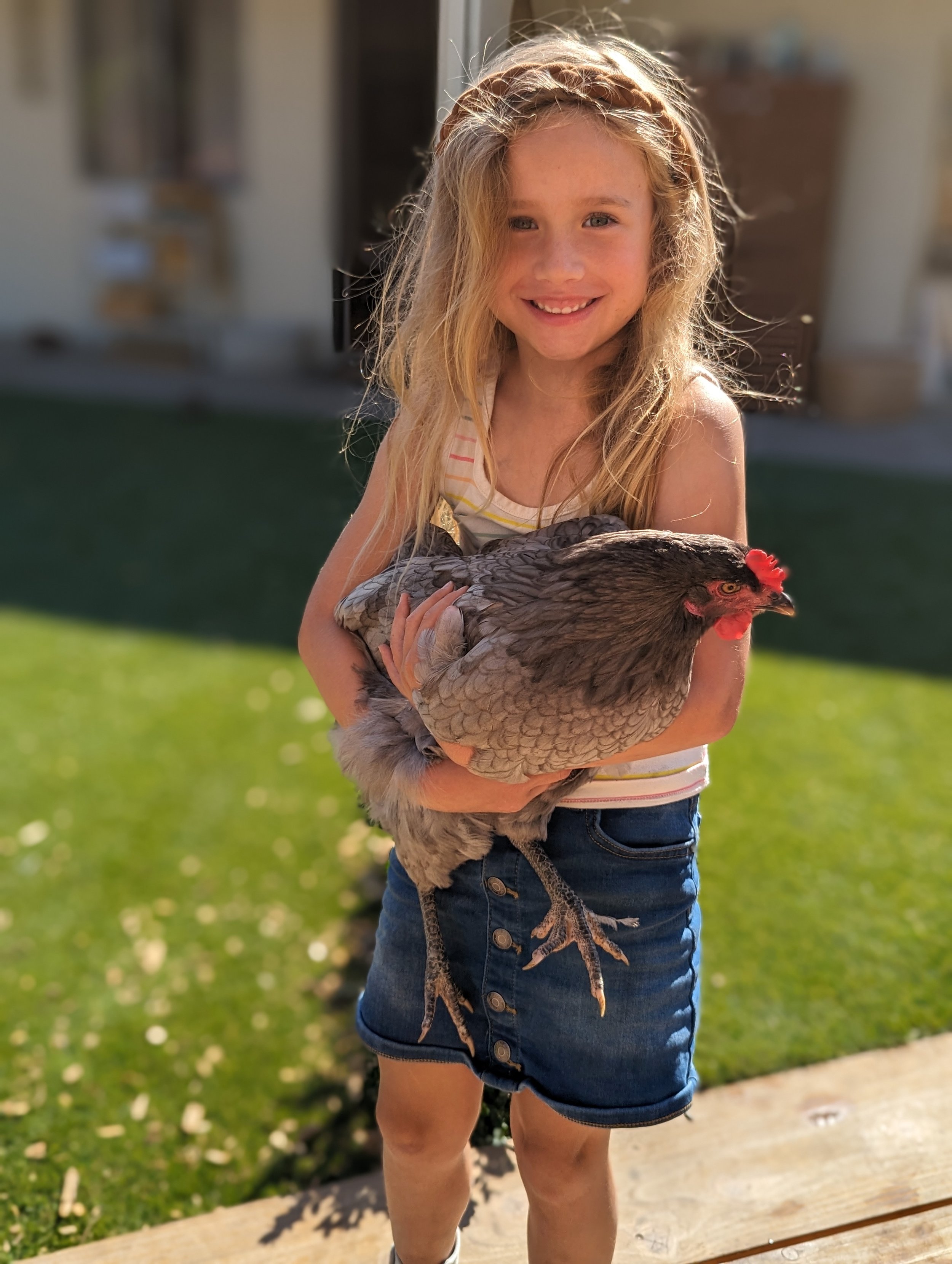  A child holding our friendly hen, Vencume 