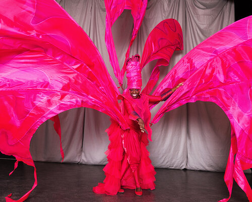 Celebrating The Carnival Costumes of Artist Clary Salandy — REFORM THE FUNK