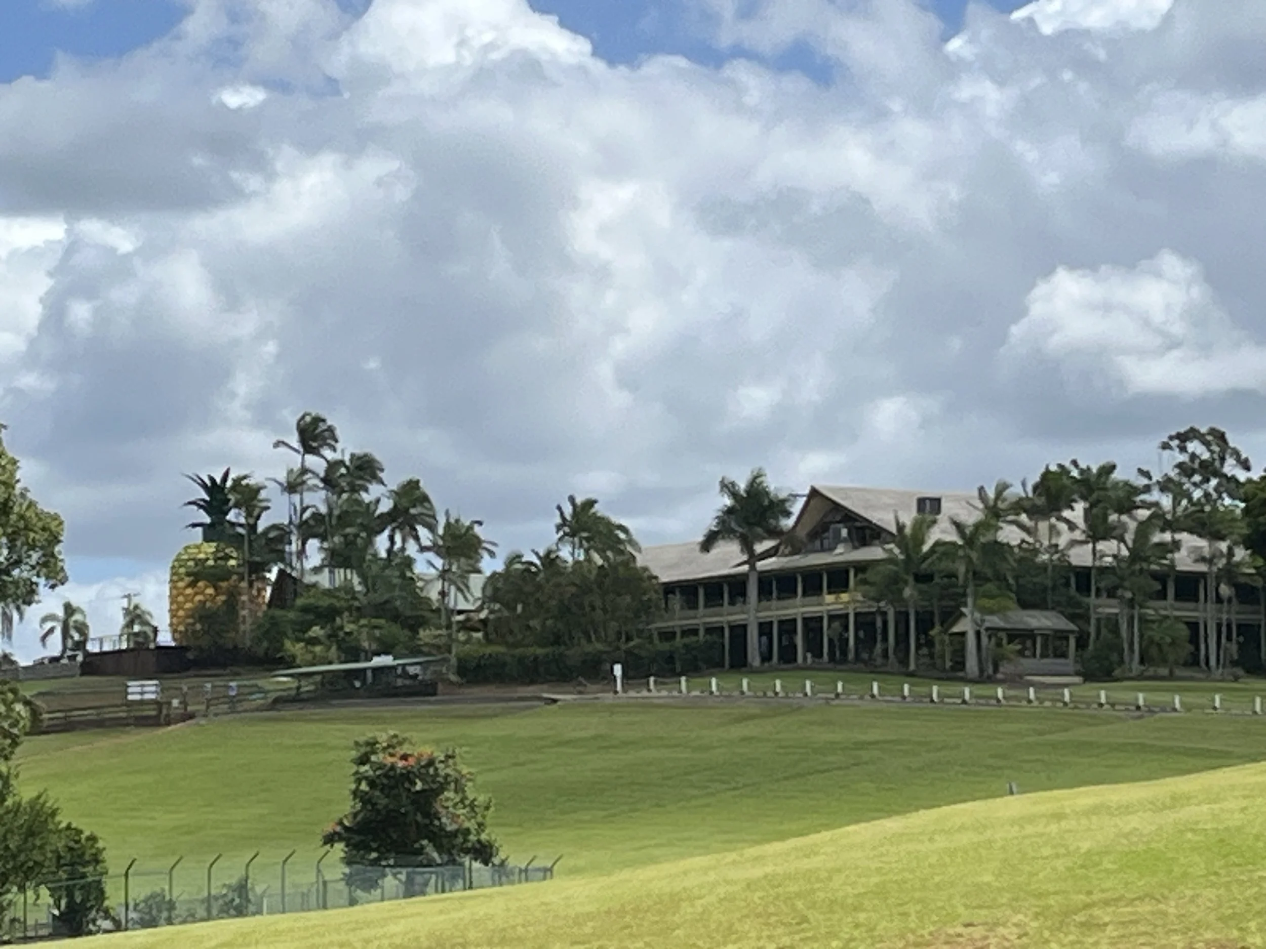 1. A day in Paradise (Copy)