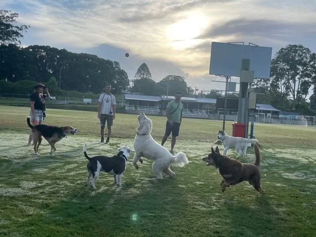 8. Eyes on the Prize (Copy)