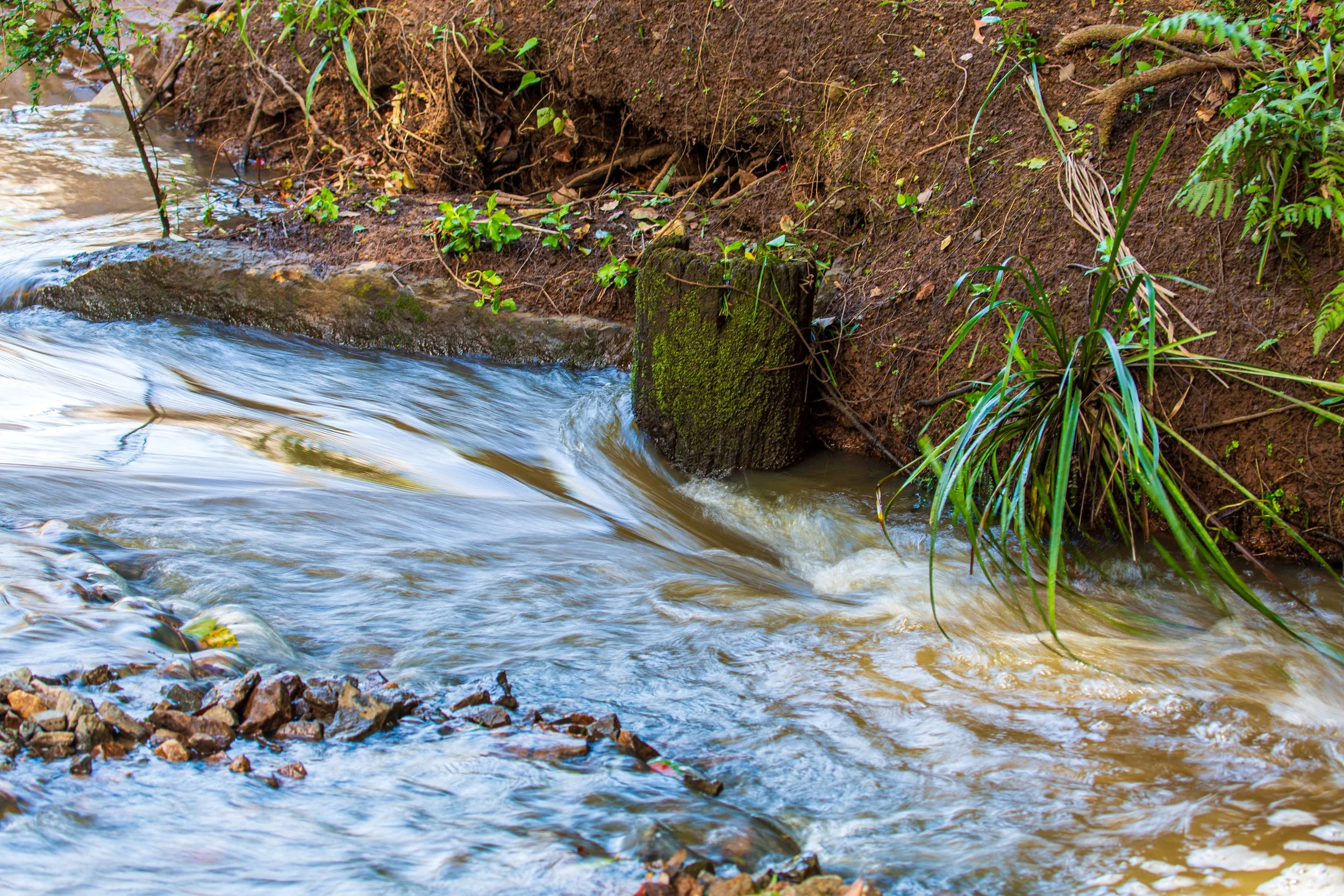 34. Woombye Flow (Copy)