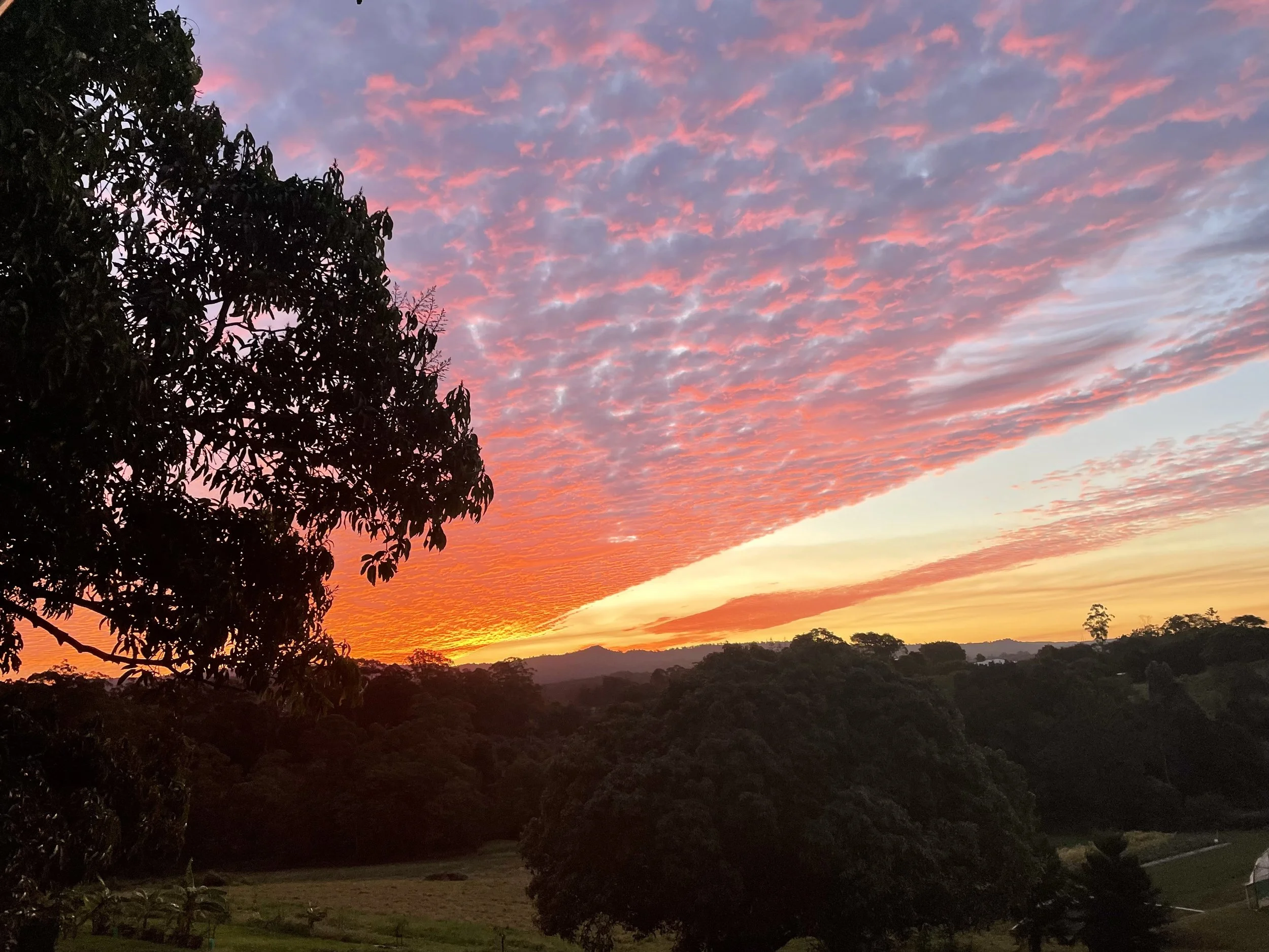 37. Woombye's Glorious Sunsets (Copy)