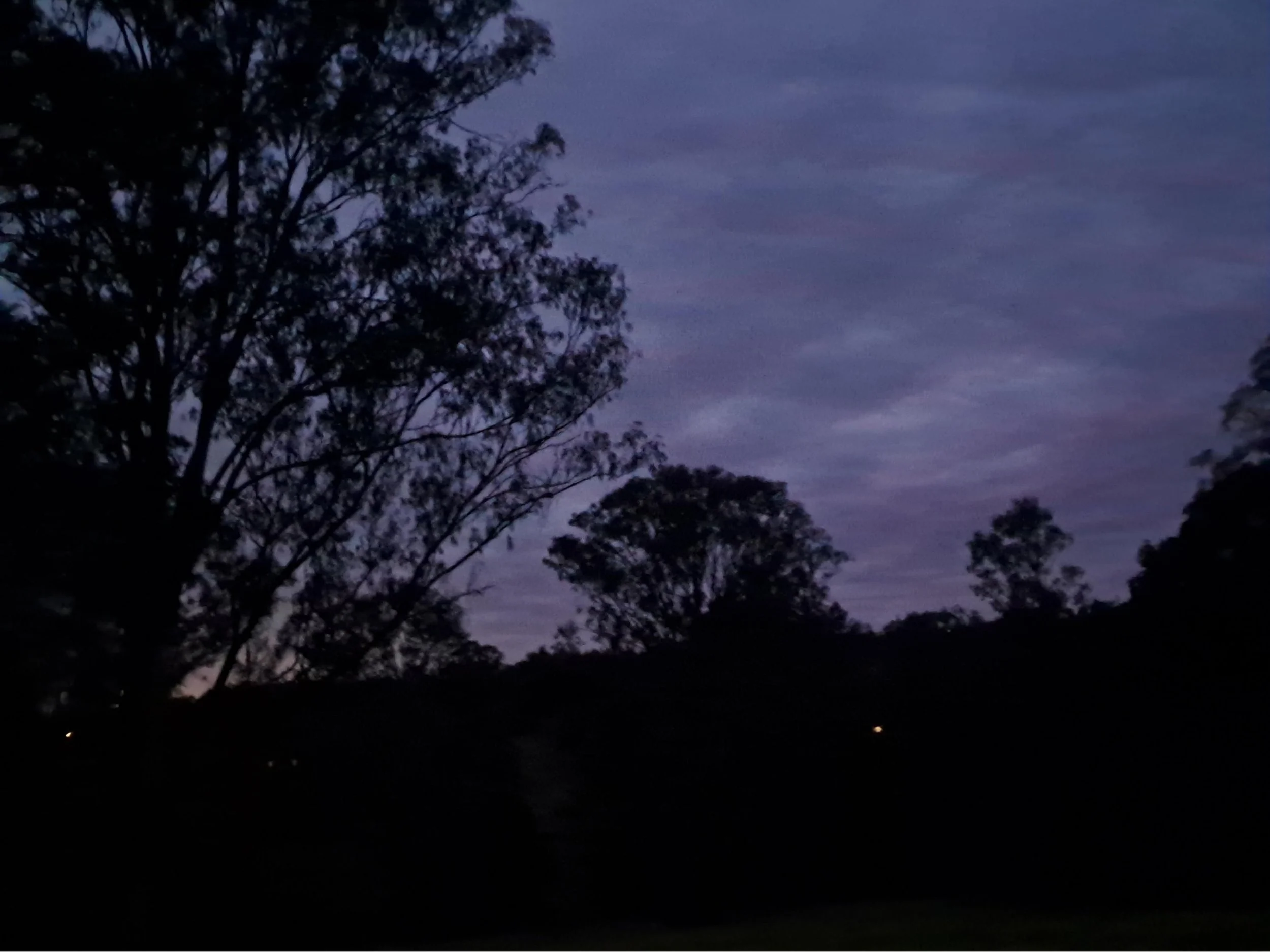 42. An Evening in West Woombye (Copy)