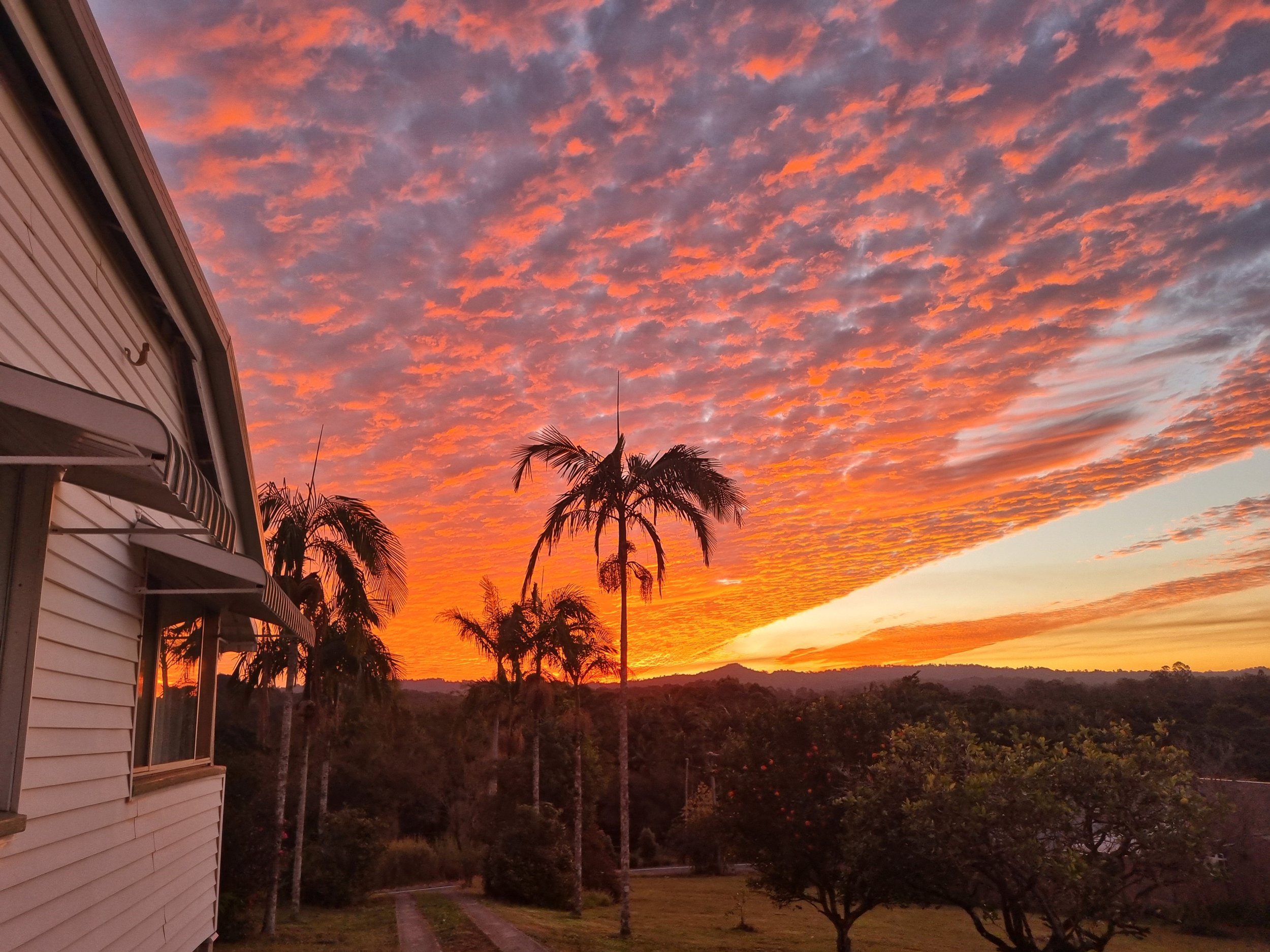 Soleil Couchant - Camille Dhenin