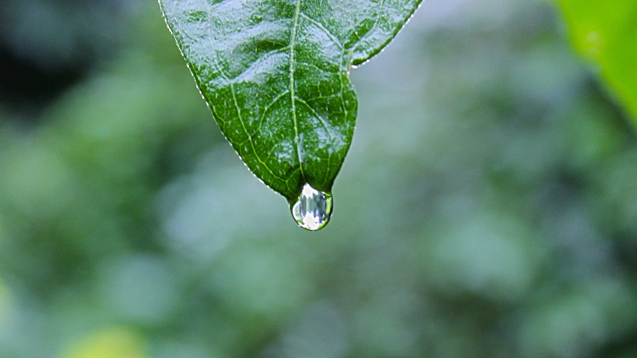 How to get more out of your time by 