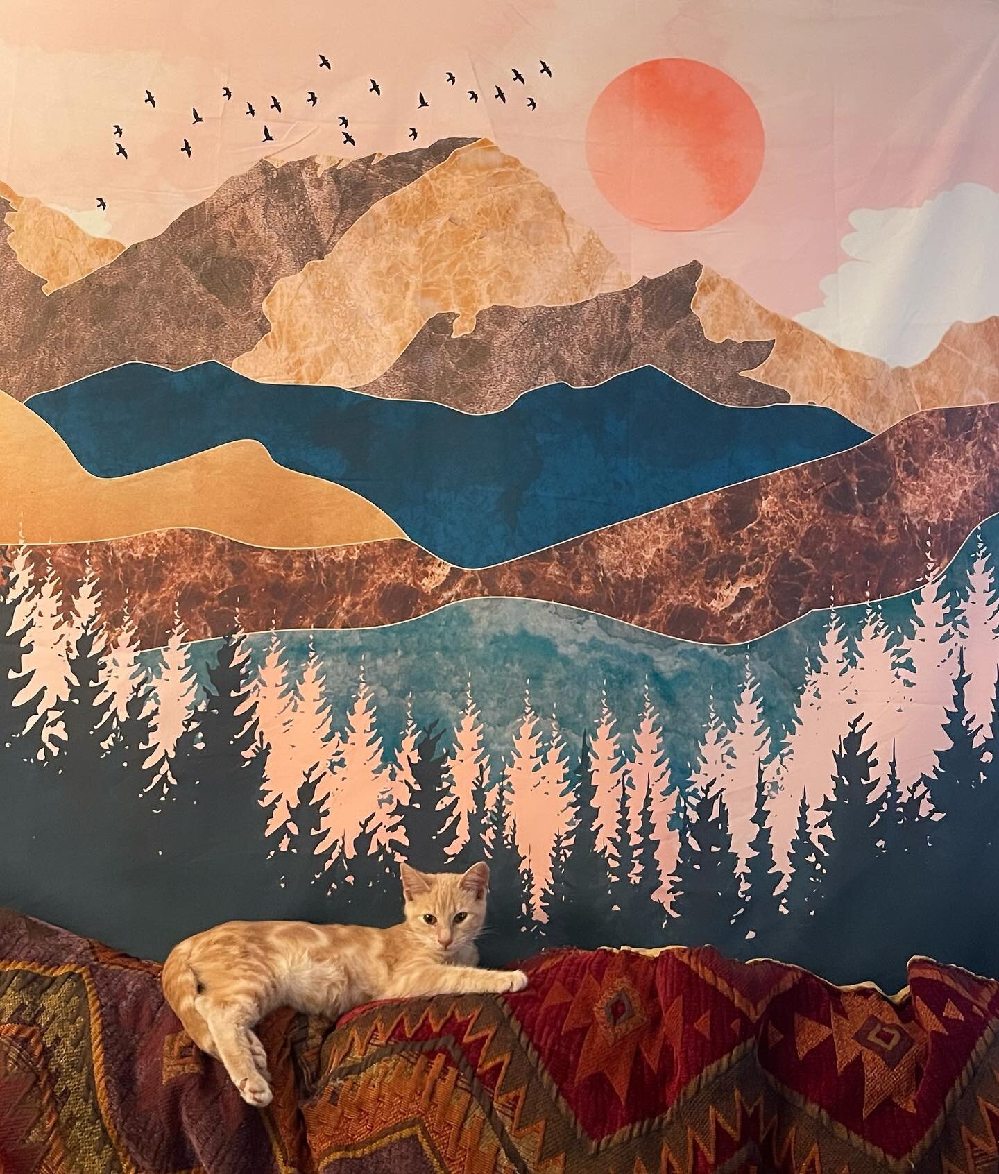 Oscar 🍊 and Belly 🖤🤍 Why get one kitten when you can get two?!

Image description 1: Oscar, a 4 month old orange tabby kitten lays leisurely on the back of a sofa. A tapestry of a forest and mountains on the wall behind him.

Image description 2: 