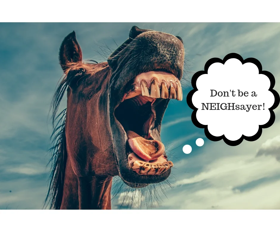 Don't be aNEIGH-sayer!.jpg