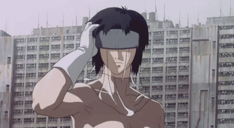 GITS_1024x1024.gif