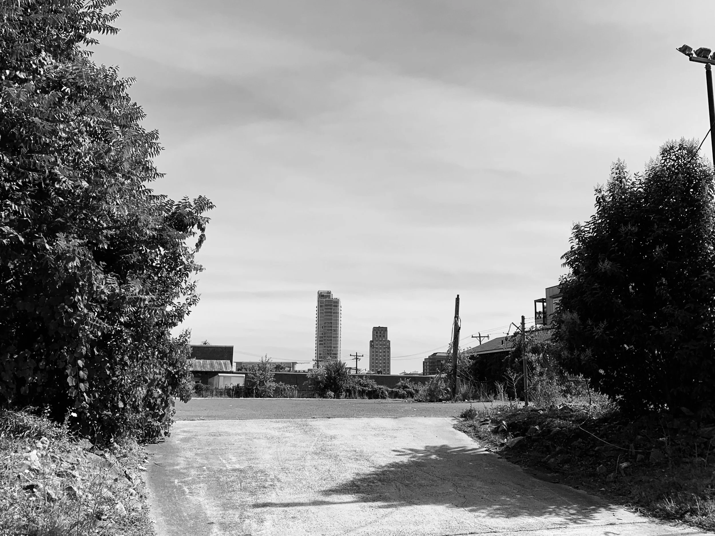 IMG_4476.jpg