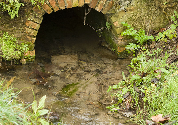 Sewage.png