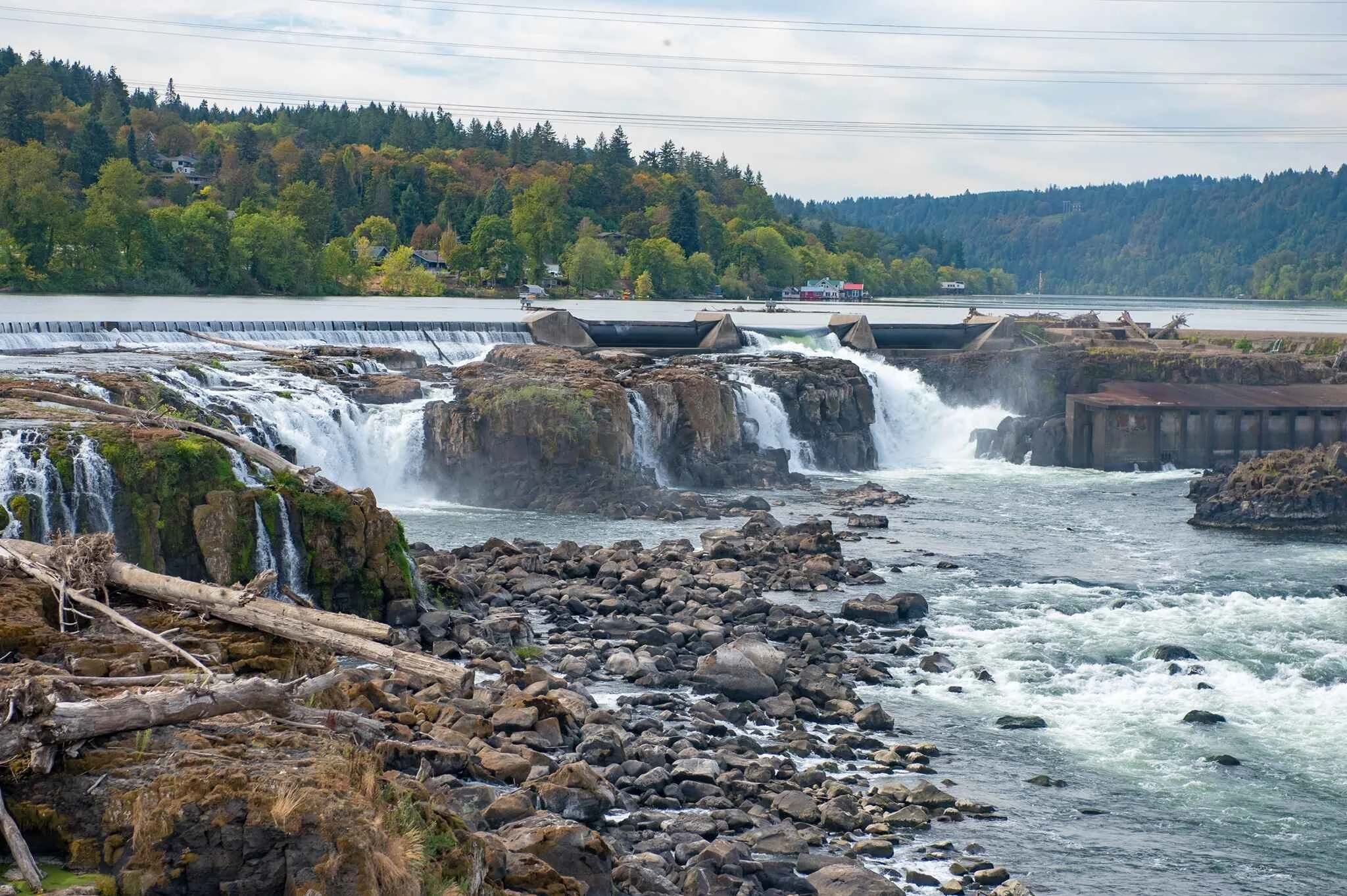 Oregon City, OR | Mold Testing & Asbestos Testing