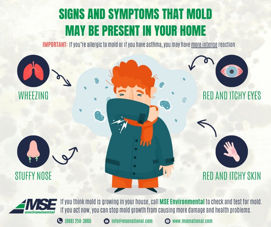 Spotting mold isn&rsquo;t always obvious. Are you missing the signs? That musty smell or those frequent sneezes could be pointing towards hidden mold in your space.

Imagine living in a home that&rsquo;s safe, clean, and allergen-free. It's possible 