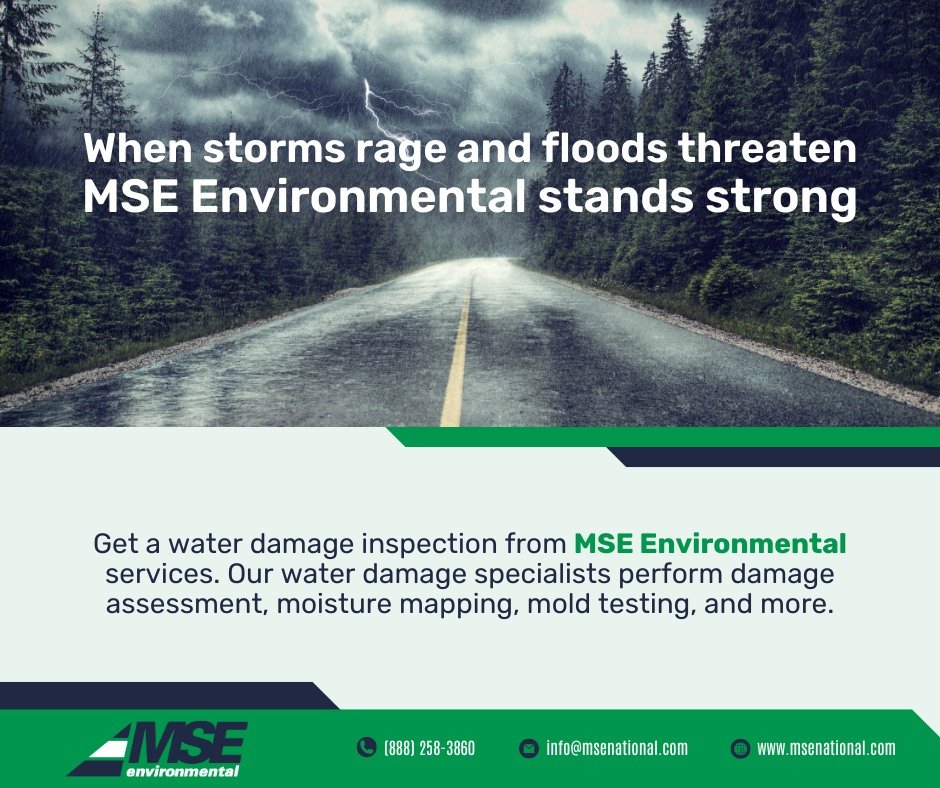 Get a water damage inspection from MSE Environmental services. Our water damage specialists perform damage assessment, moisture mapping, mold testing, and more.

#MSEenvironmental #WaterDamage #HomeWaterDamage #WaterDamageInYourHome #HomeMaintenance 