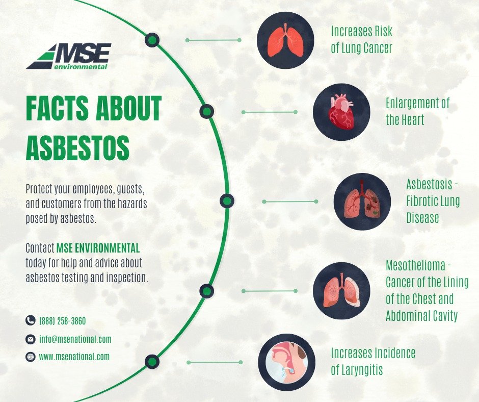 Protect your employees, guests, and customers from the hazards posed by asbestos.

Contact MSE ENVIRONMENTAL today for help and advice about asbestos testing and inspection.

#AsbestosSafety #MSEEnvironmental #AsbestosTesting #WorkplaceSafety