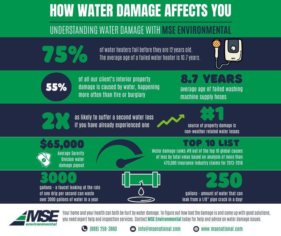 🌊 Water damage can lead to structural issues, mold growth, and health risks. Stay informed and protect your home with these key insights from MSE Environmental. 🌊

💧 Watch out for:
Musty odors
Warped wood
Water stains

Contact MSE Environmental to