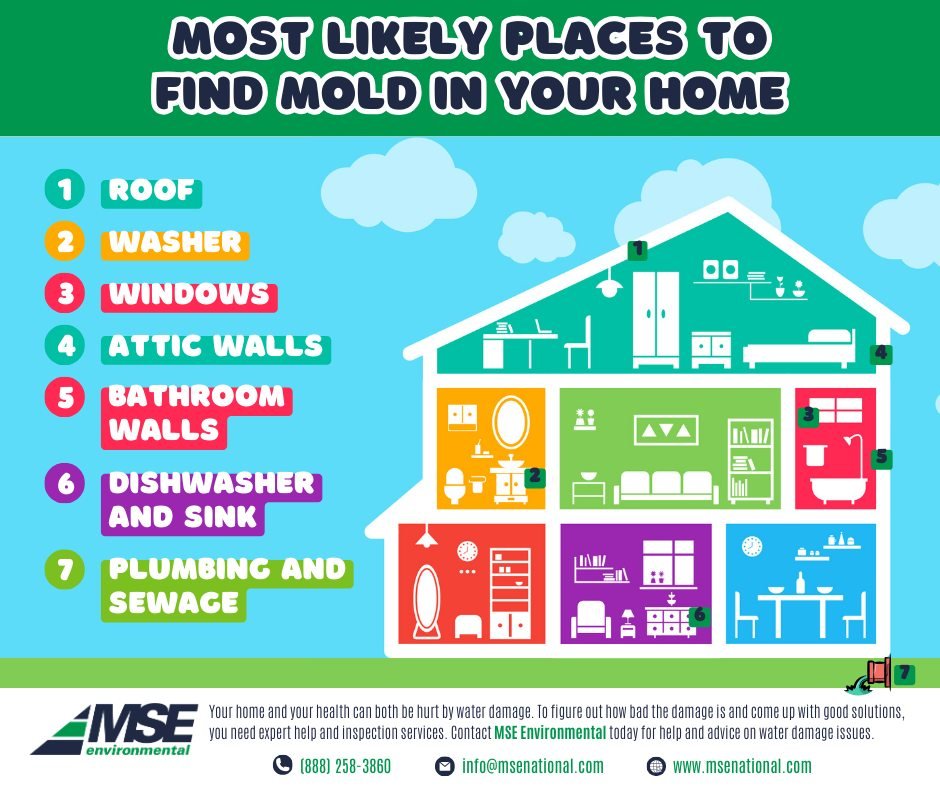 Mold can hide in unexpected places, affecting your health and home. Stay vigilant and keep it at bay!

Contact MSE Environmental today for help and advice on mold in your home!

#MSEenvironmental #MoldPrevention #HealthyHome #HomeCare