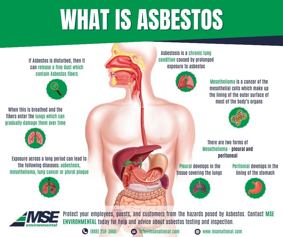 Asbestos is a harmful material once used in building construction. It can cause serious health issues when disturbed.

🔍 How MSE Environmental Can Help:

1. Asbestos Inspection
2. Safe Removal
3. Expert Consulting

Protect your health and home with 