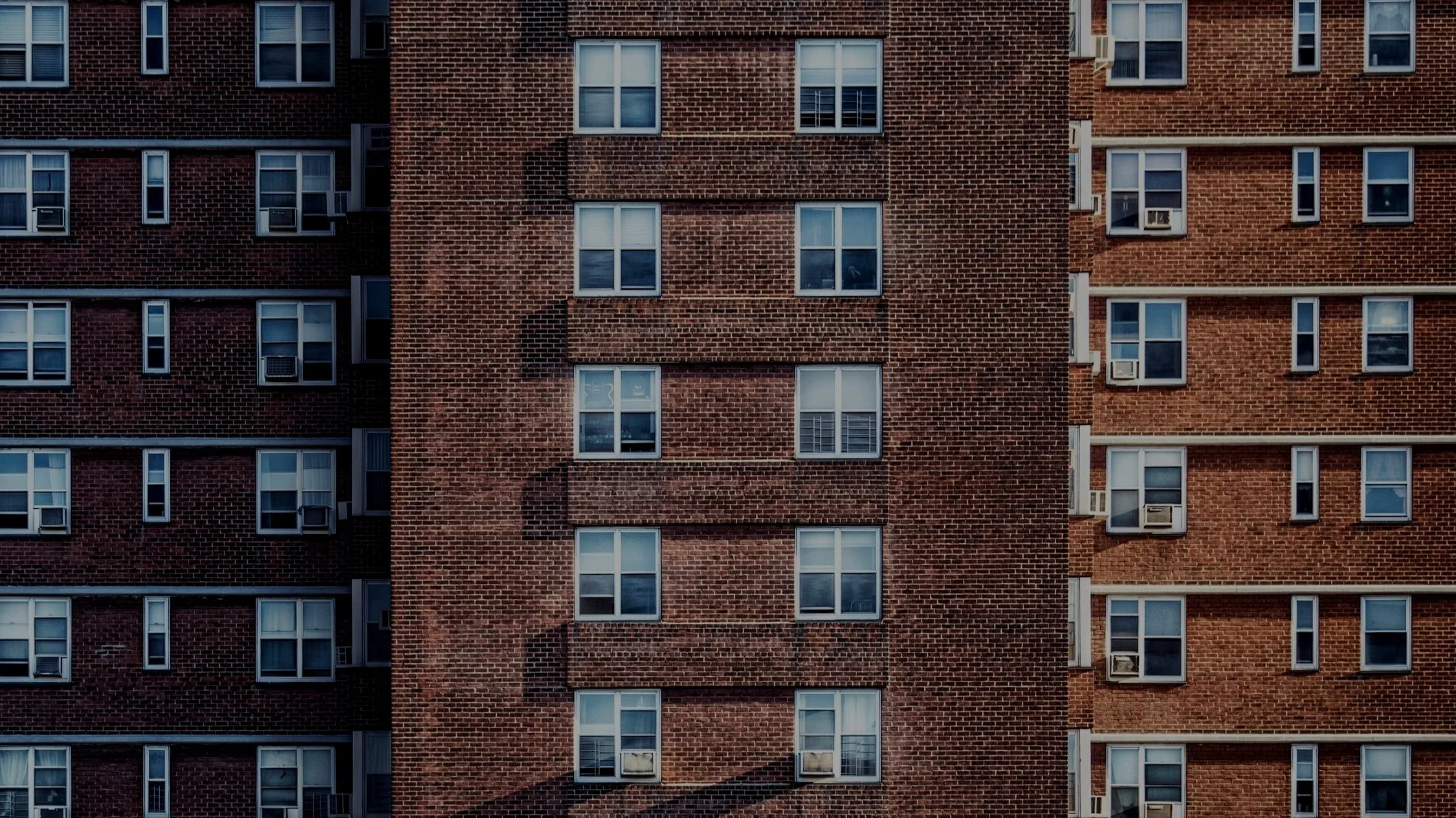 pexels-madbyte-36366+%283%29.jpg