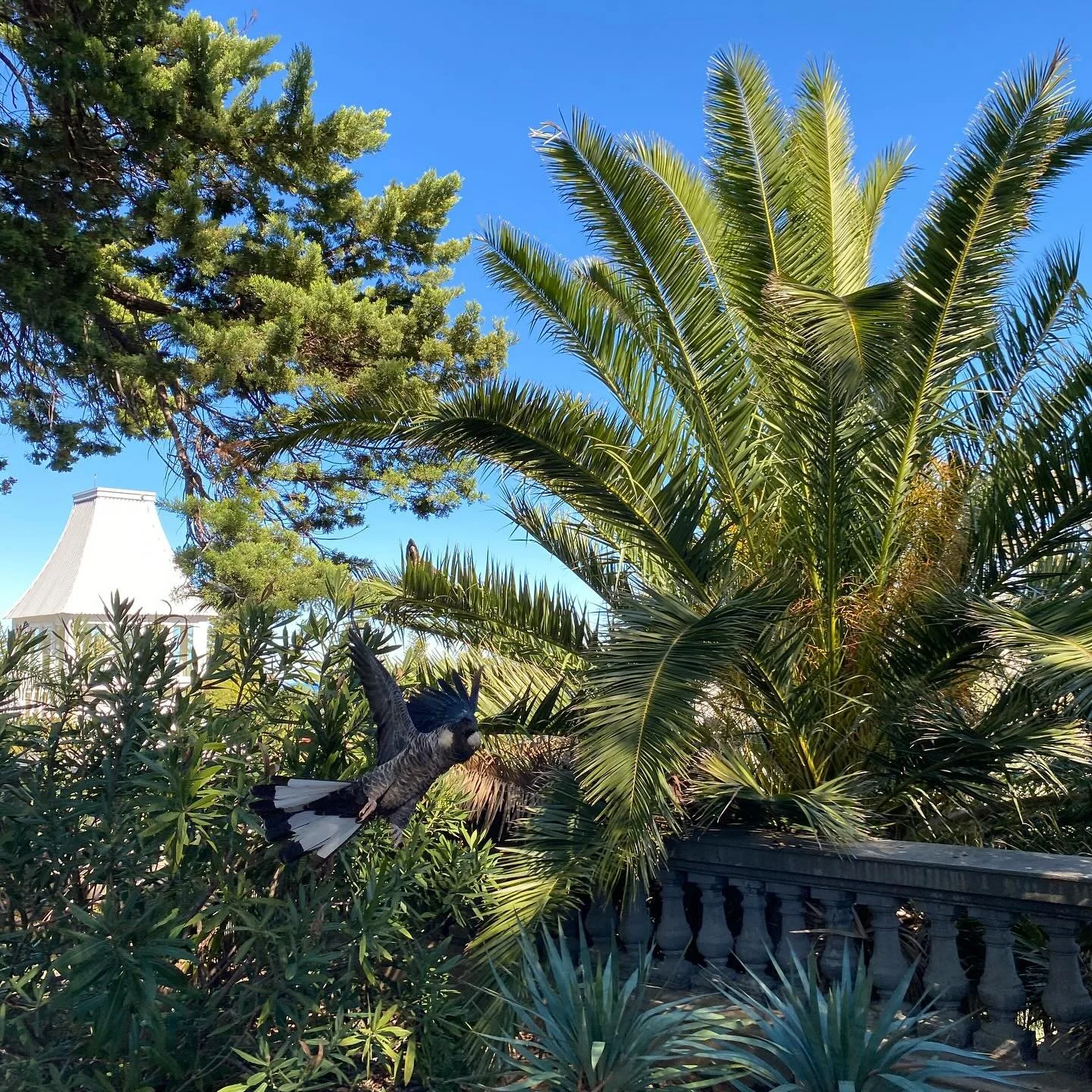 Site visit today in the beautiful Cottesloe Beach area &amp; exploring the stunning surroundings of Cottesloe civic centre.

Thinking beyond traditional leasing? Let us show you how to unlock 2&ndash;3x the rental income.
Book your FREE property appr