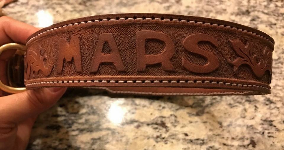 Tooled Mars Leather collar